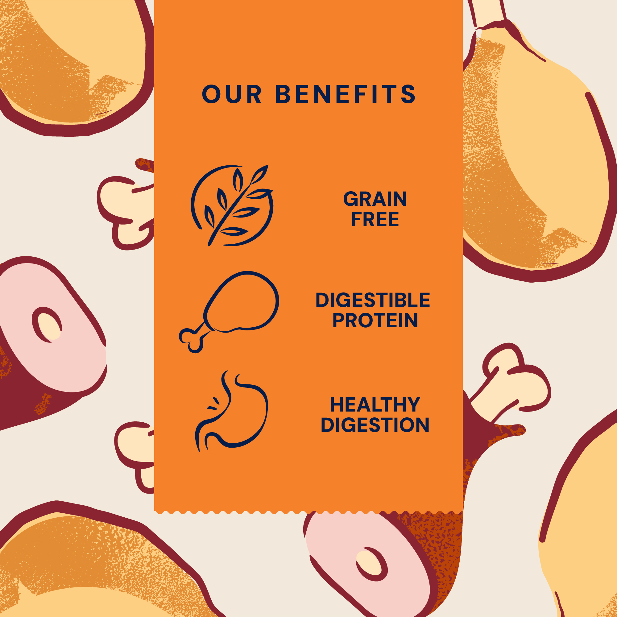 P&M BENEFIT CARD WET FOOD PRIMAL TURKEY