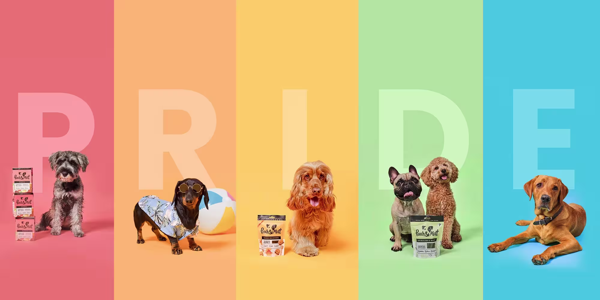 Five different coloured pastel columns, with a dog in each, and letters spelling out Pride