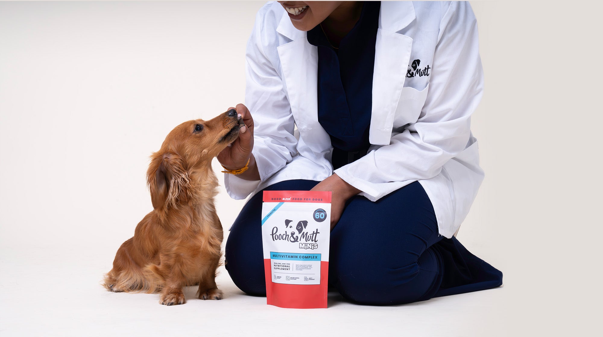 Vet Explains: Why and how should we be exploring our dog's gut health?-Image 2