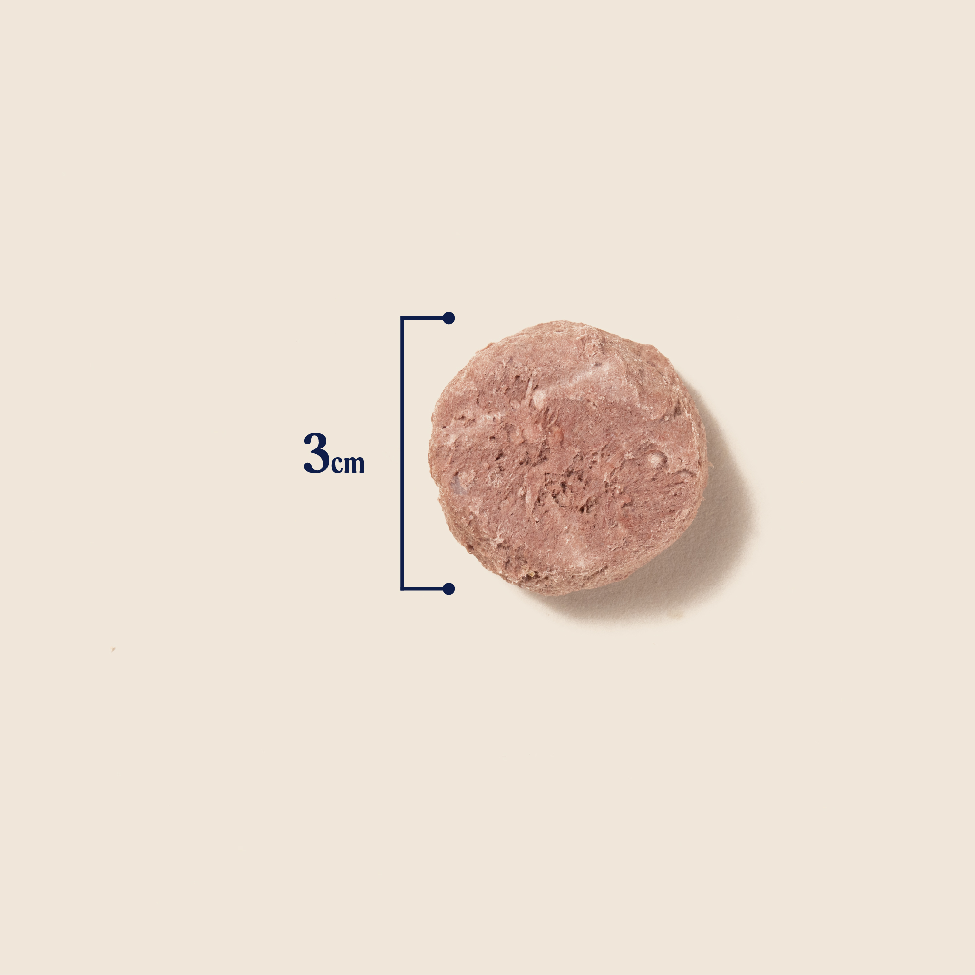 P&M SIZE FREEZE DRIED TREATS RAW LAMB