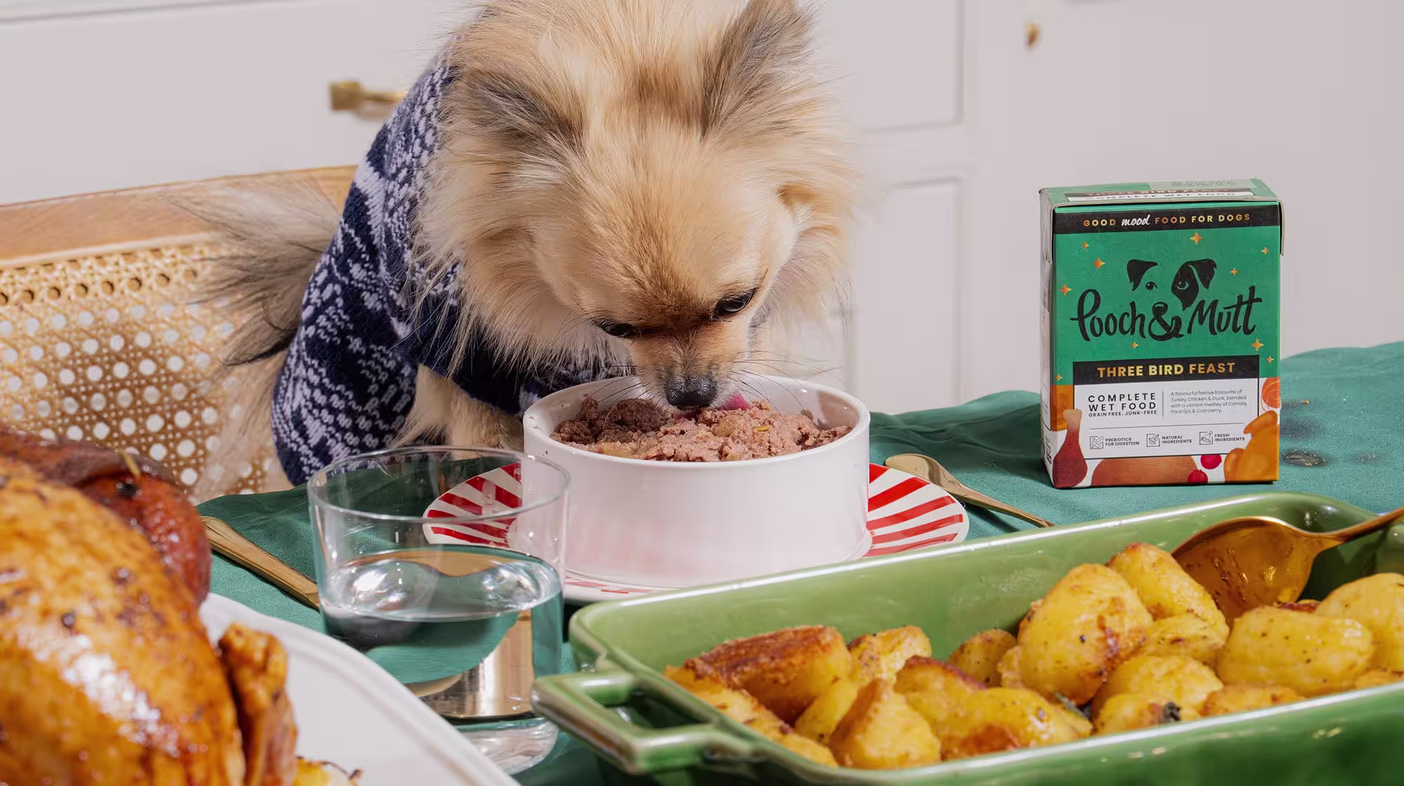 Top 5 Christmas gift ideas for every type of dog-Image 2