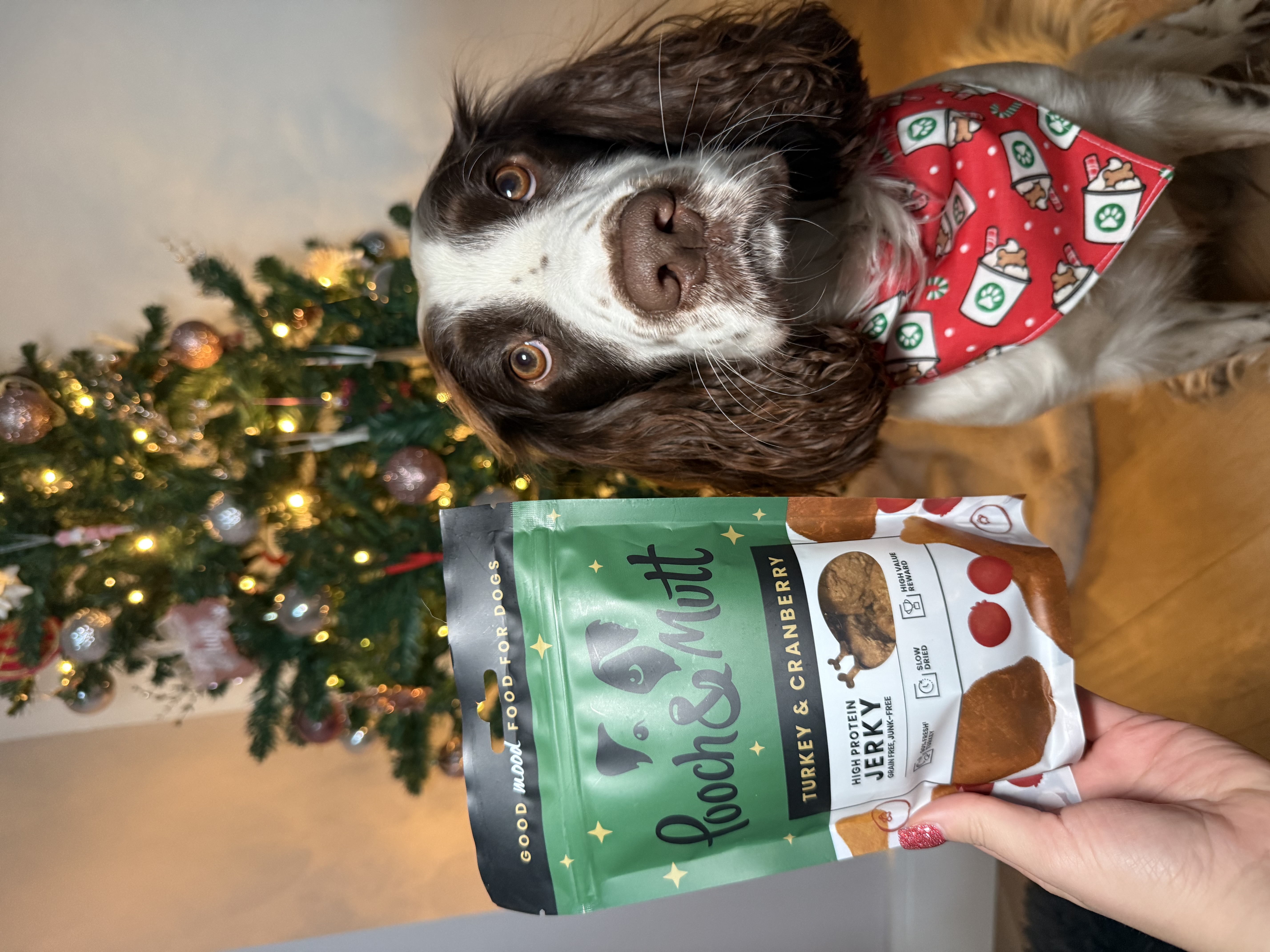 IMG 5289 - Ellie Houston