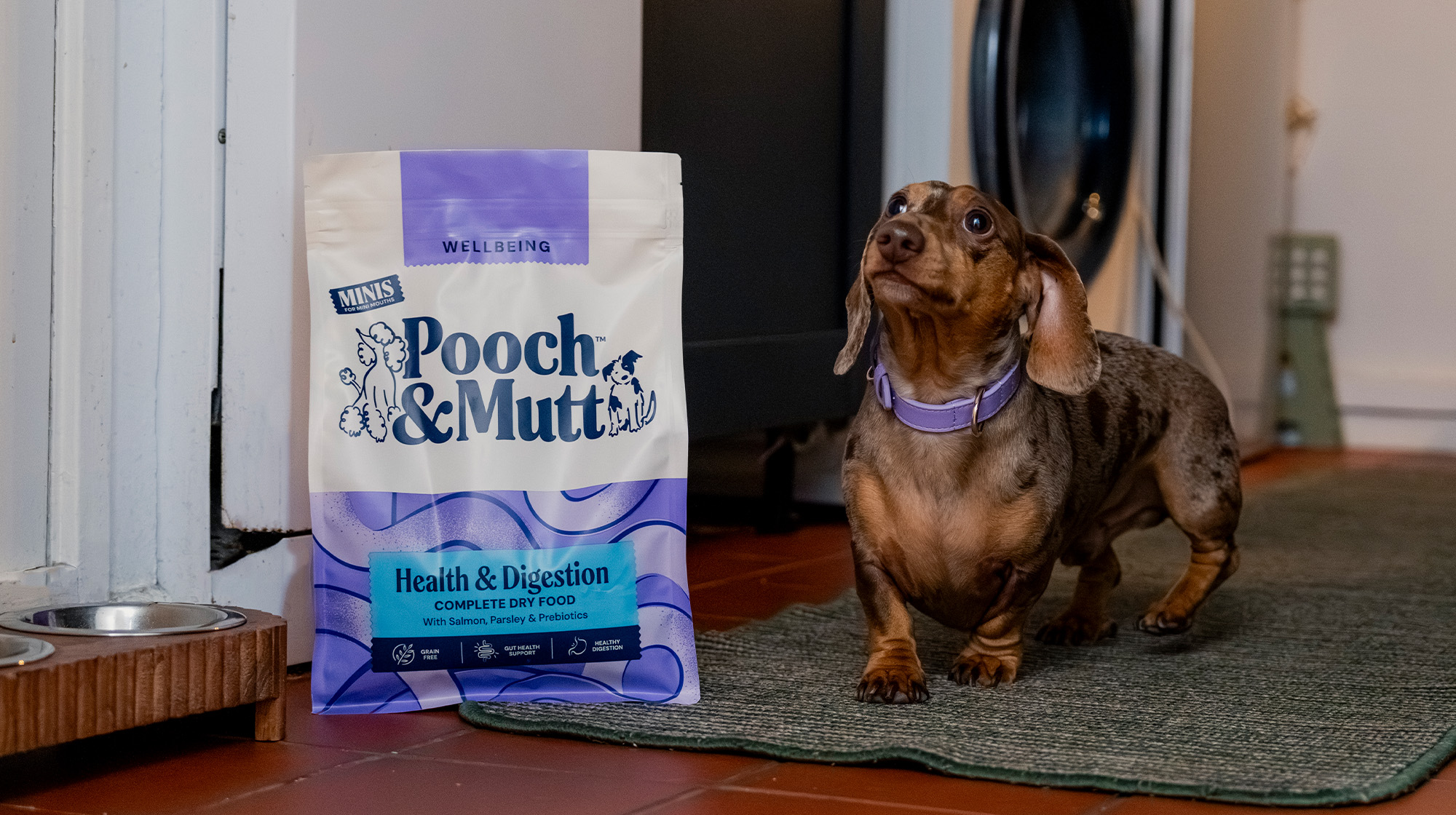 A Dachshund stands next to a bag of Pooch & Mutt Health & Digestion Dry Food.