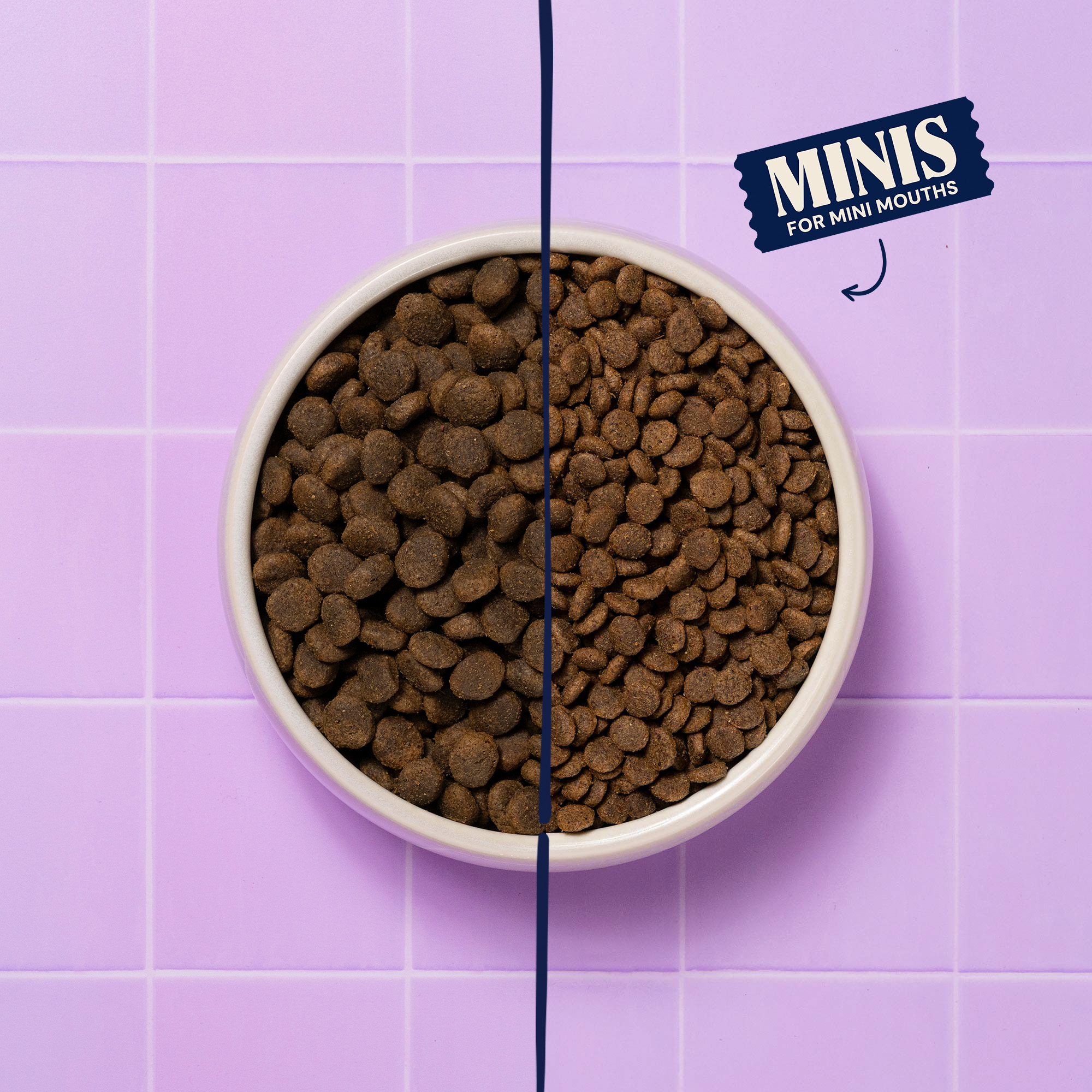 P-26M WEB KIBBLE SIZE MINIS WELLBEING HEALTH -26 DIGESTION BOWL