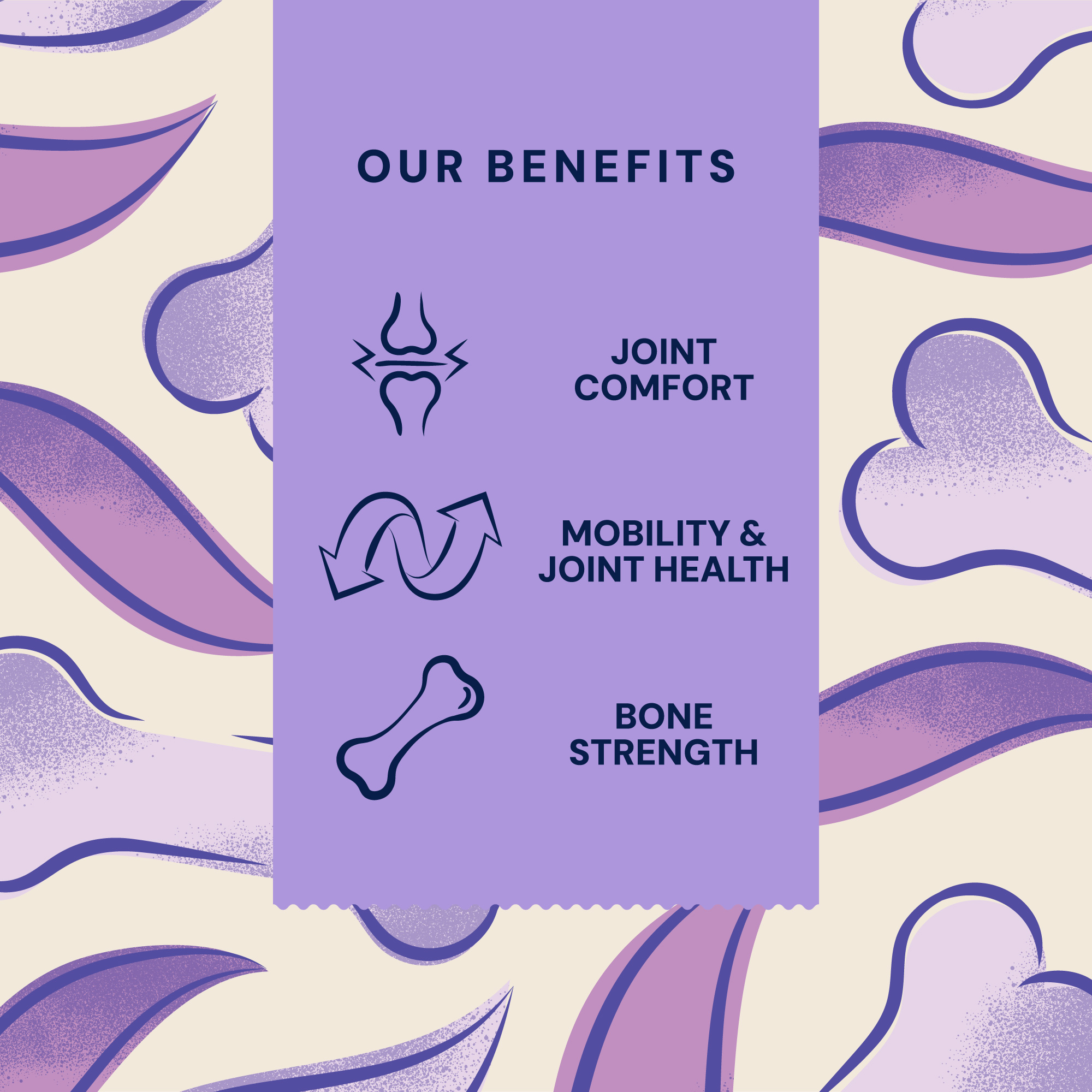P&M BENEFIT-CARD SUPPLEMENTS WELLBEING JOINT-&-MOBILITY MOBILE-BONES