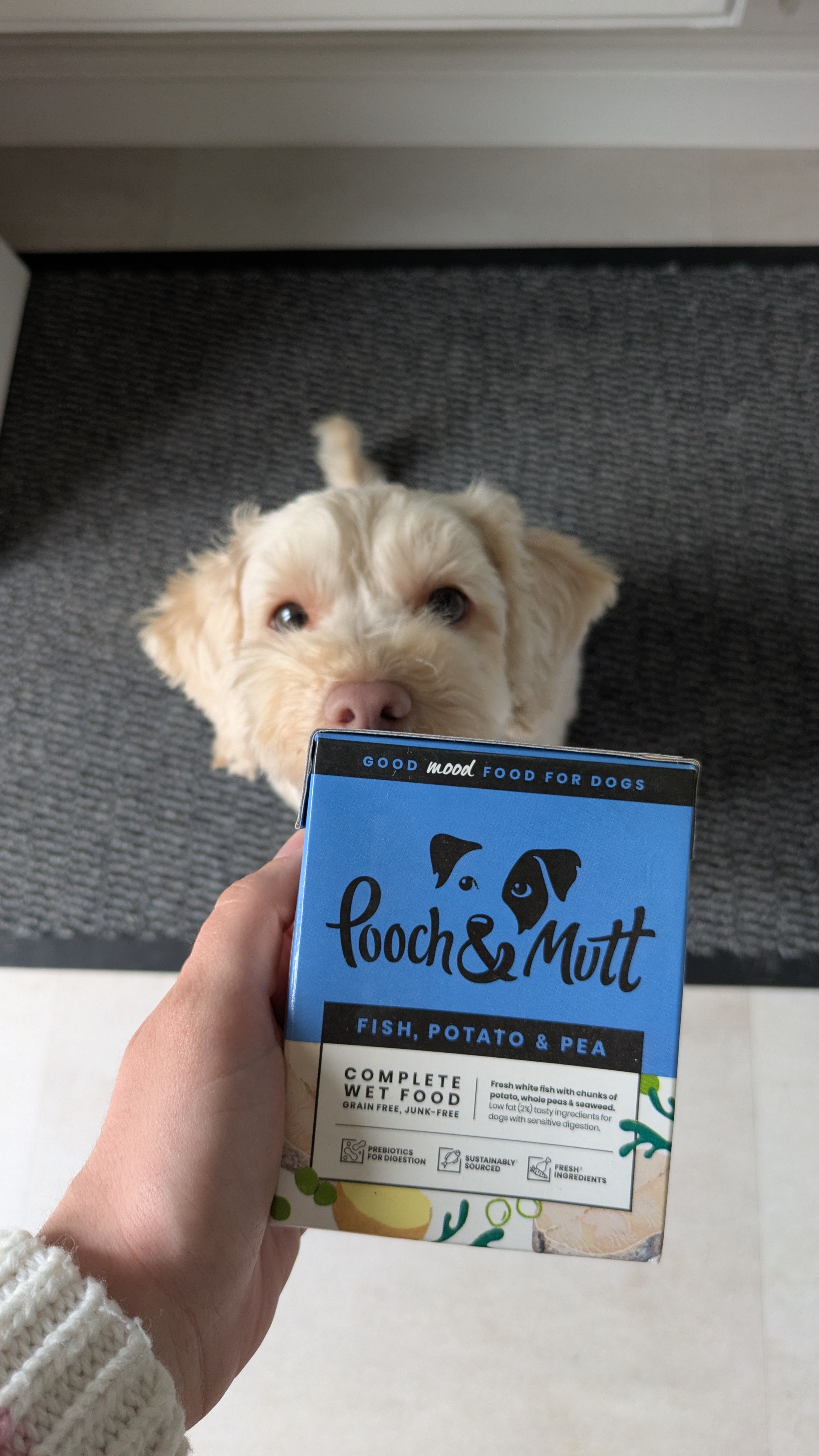 PXL 20250927 085015731 - Hollie Alexa Moxham