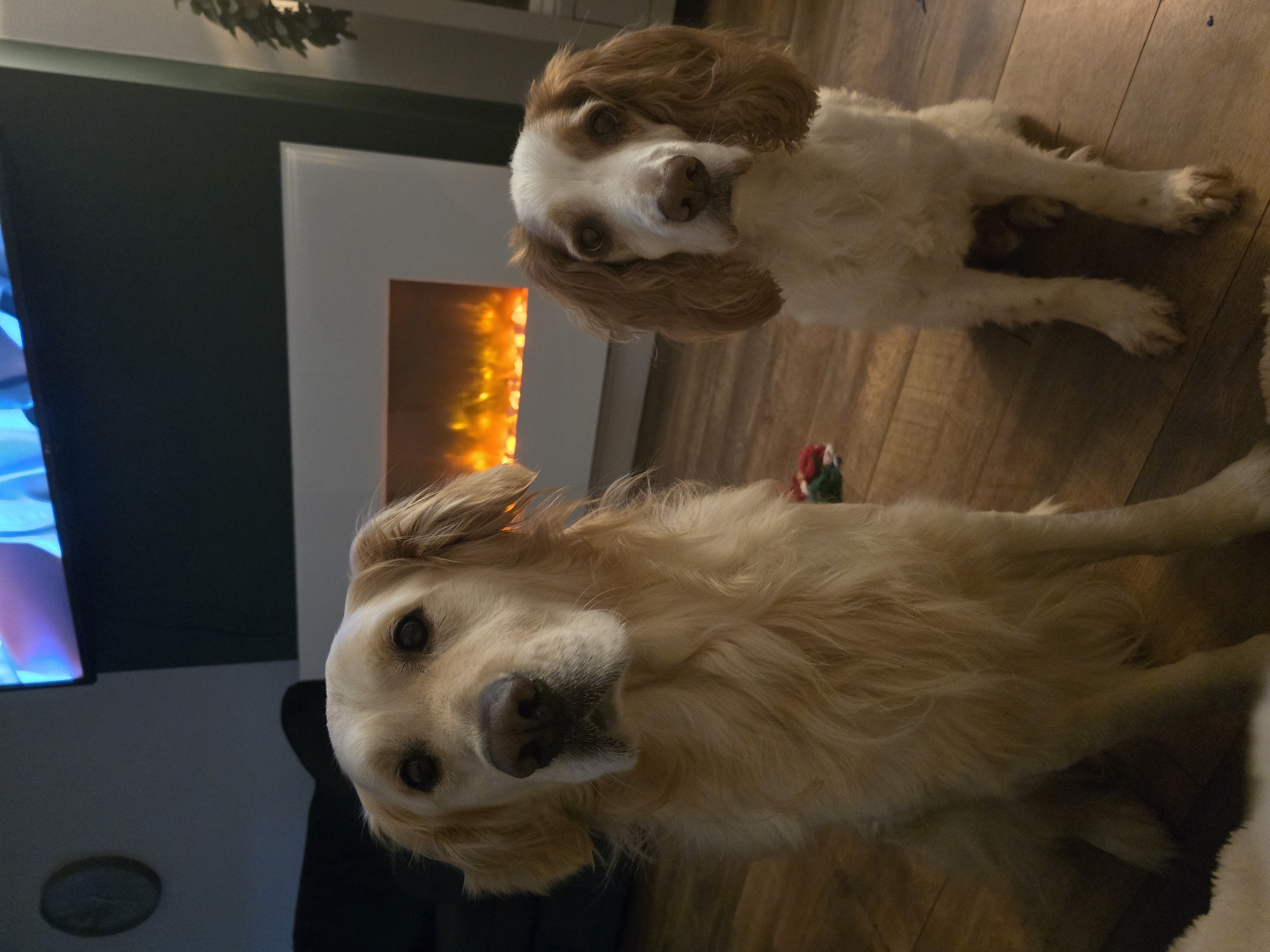 20260123 193223 - Danielle Wright