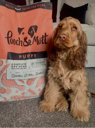 Trusted Customer Puppy Food Review