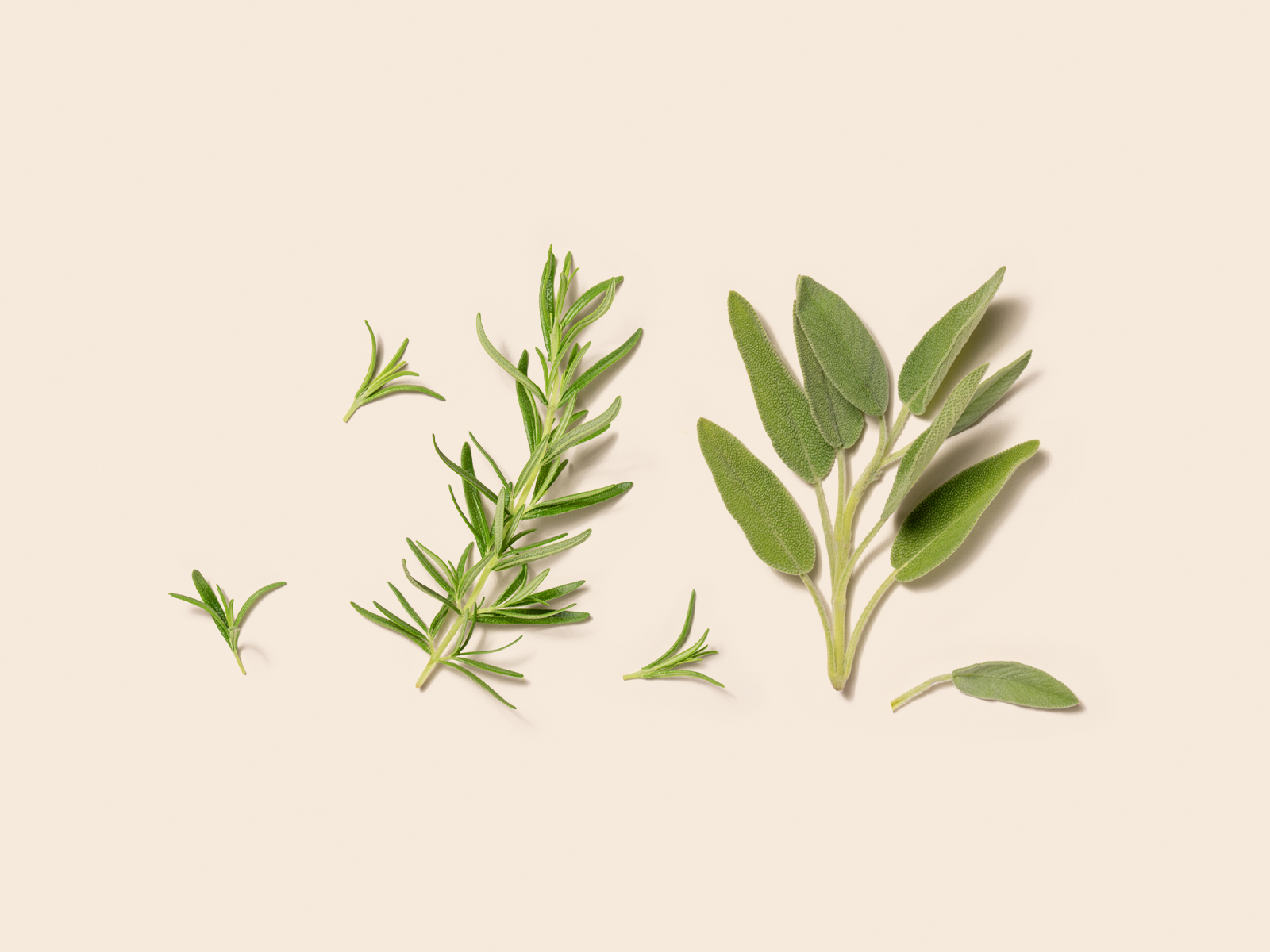 Rosemary & Sage