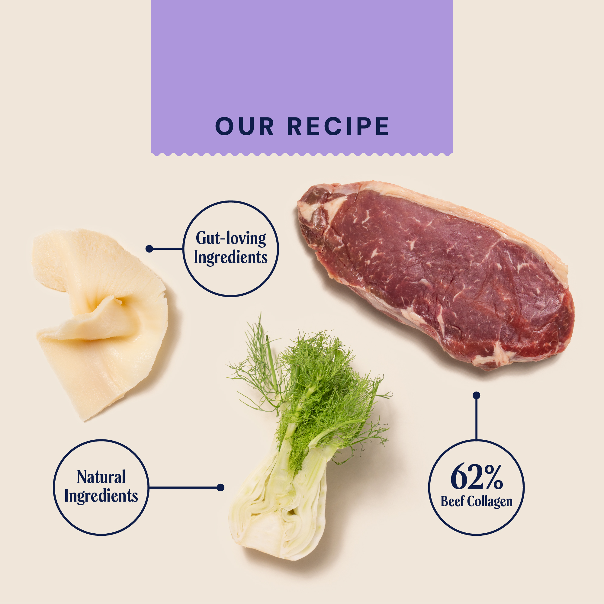 P&M INGREDIENT IMAGE WELLBEING HEALTH & DIGESTION COLLAGEN CHEWS