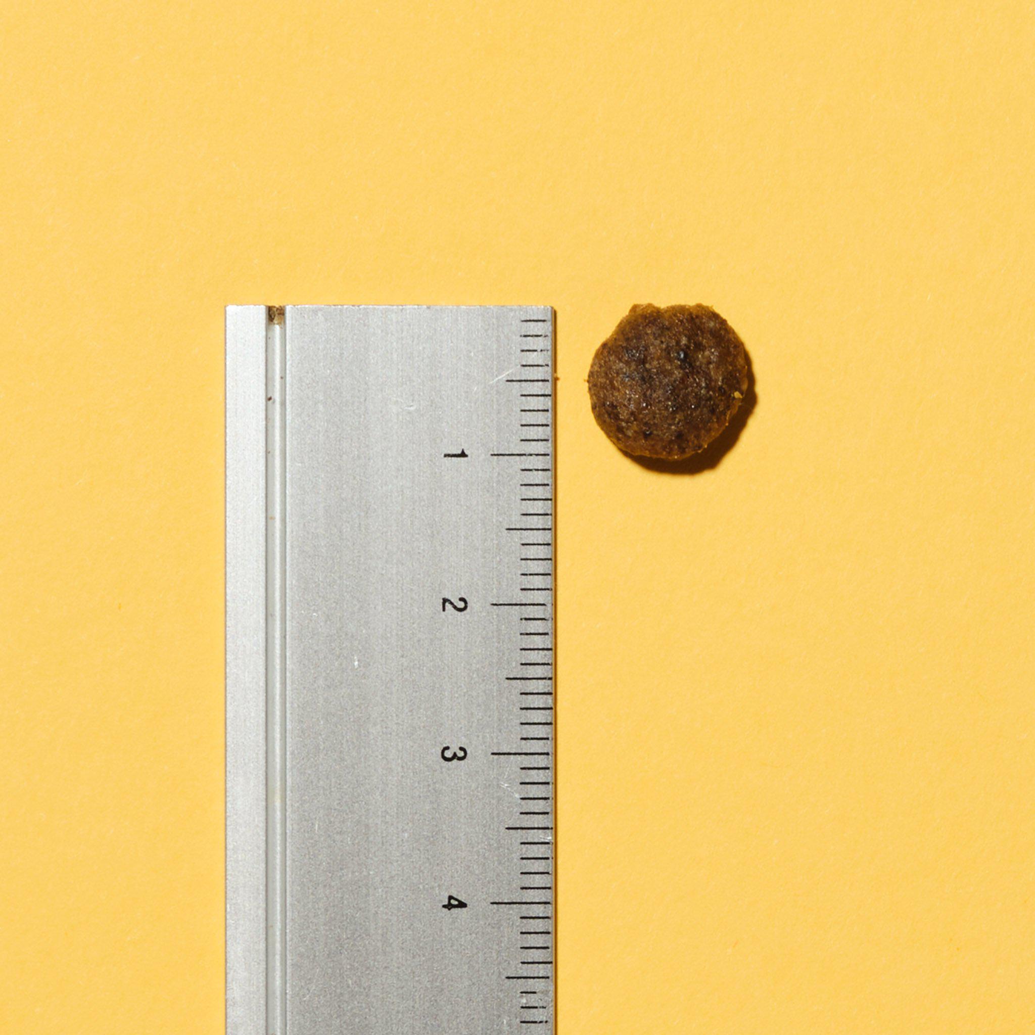 GLOBAL PRODUCT IMAGES-SMALL-3.5