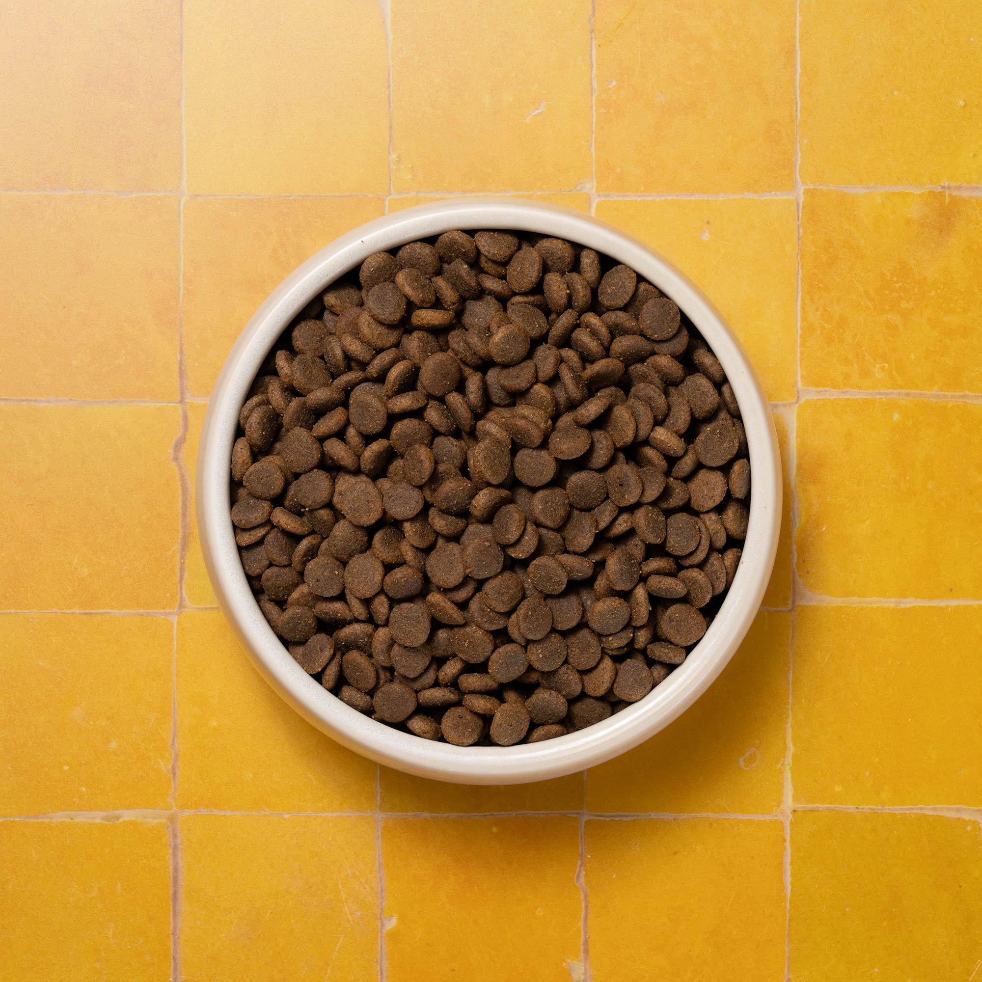 BOWLS PUPPY FULL BOWL P&M REBRAND