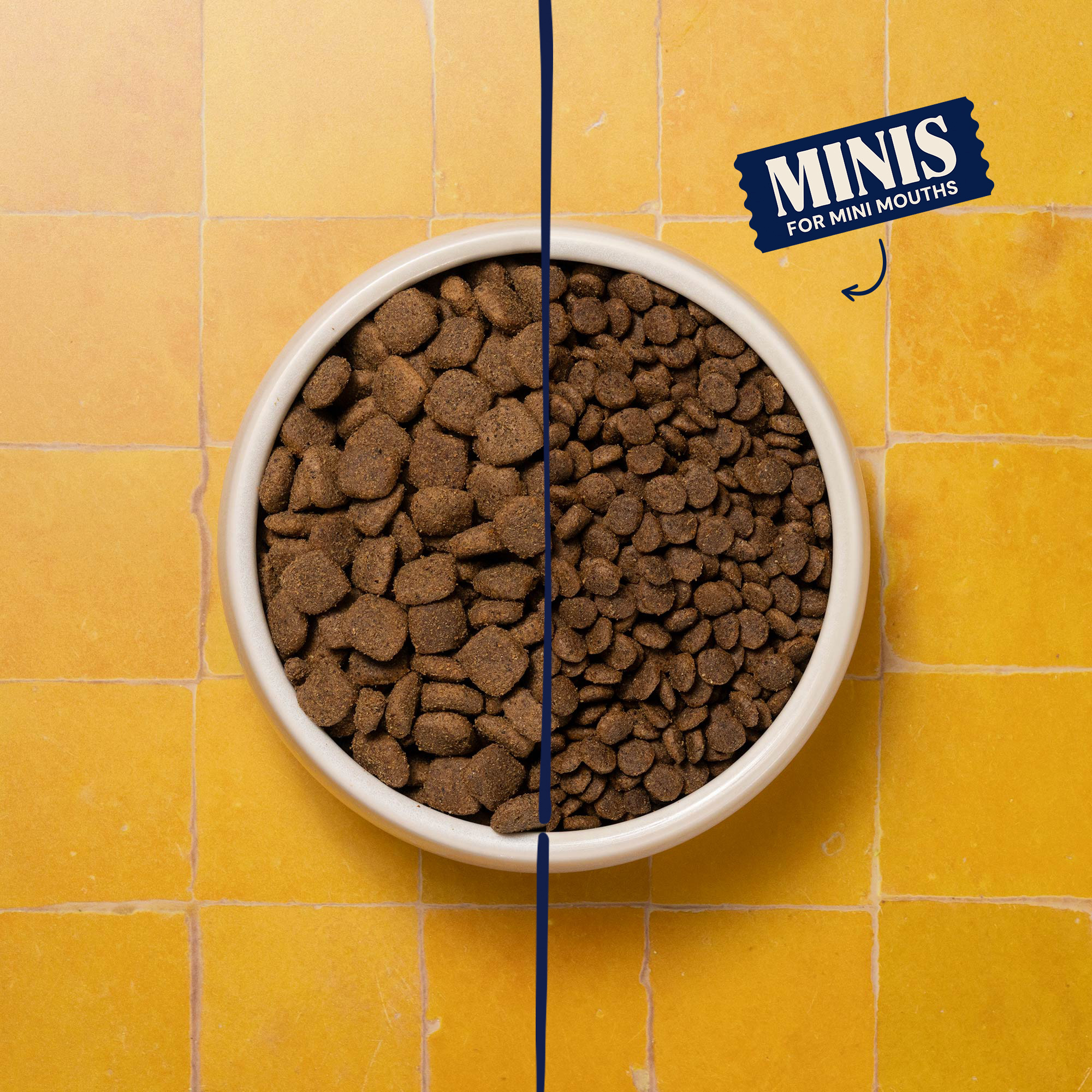 P-26M WEB KIBBLE SIZE MINIS SUPERFOOD ADULT BOWL