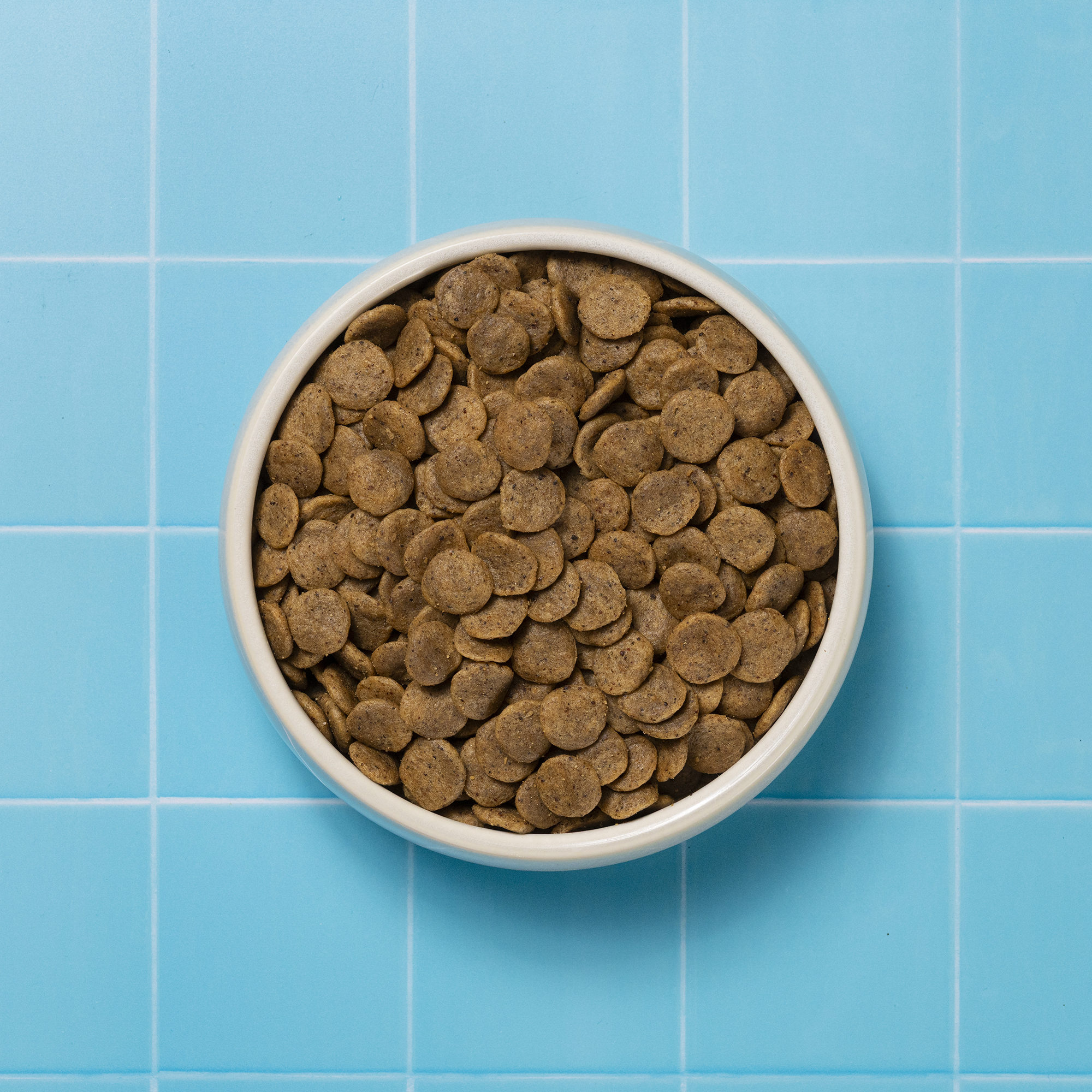 Bowl of Renal Dry Dog Food 