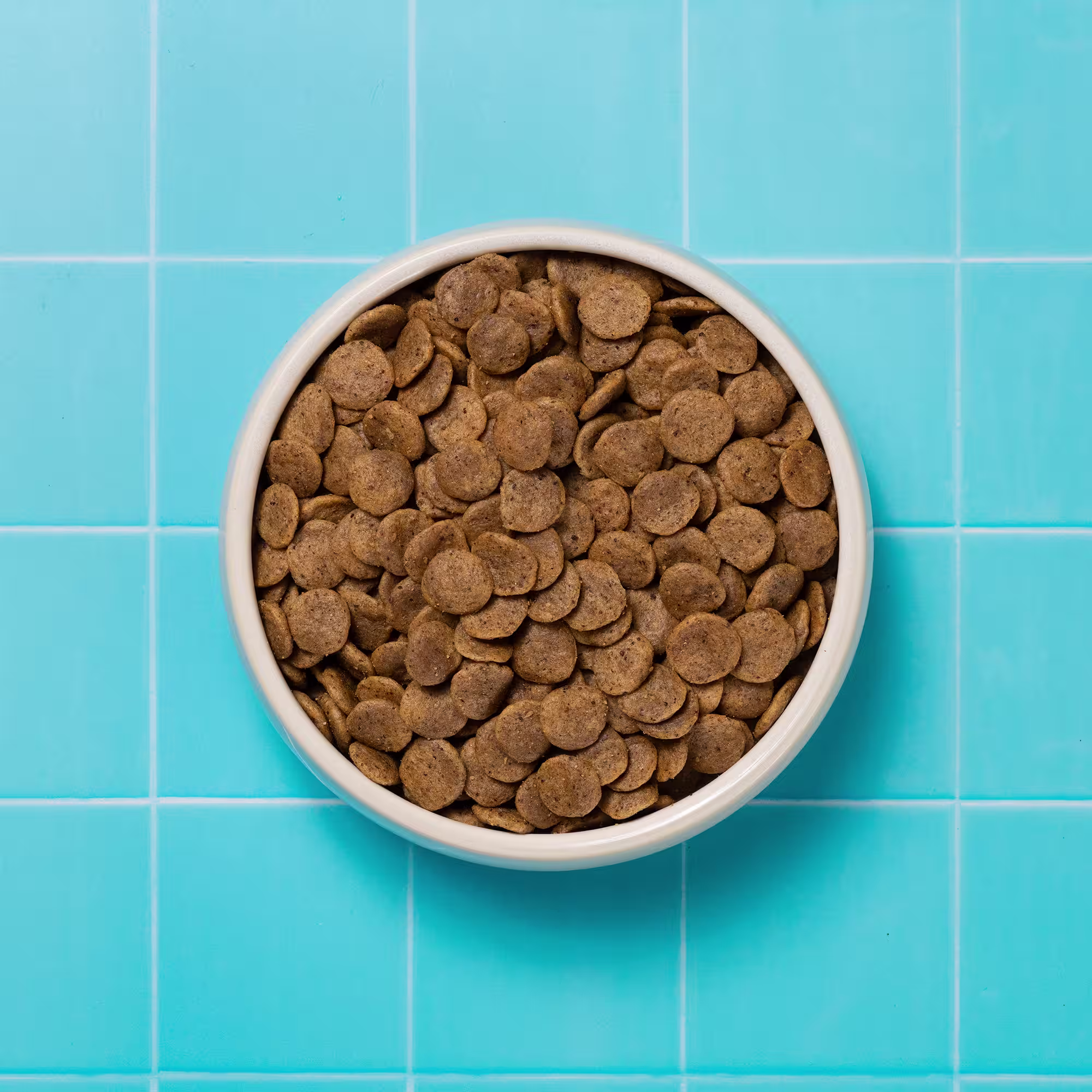 Bowl of Renal Dry Dog Food 