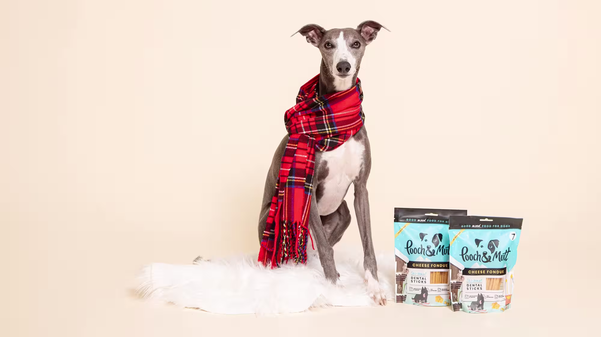 A grey and white whippet, wearing a red tartan scarf, with our Christmas Cheese Fondue Dental Sticks, against a beige background