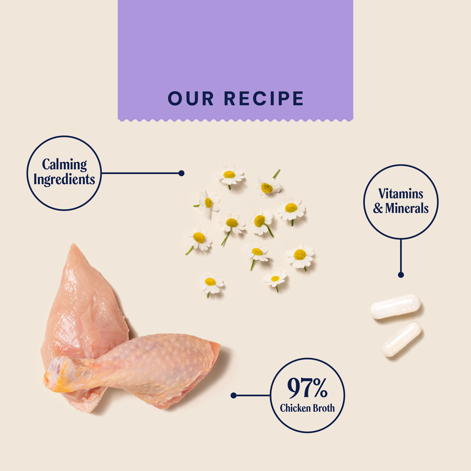 Calm & Relaxed Bone Broth Recipe card BROTH375CR 1