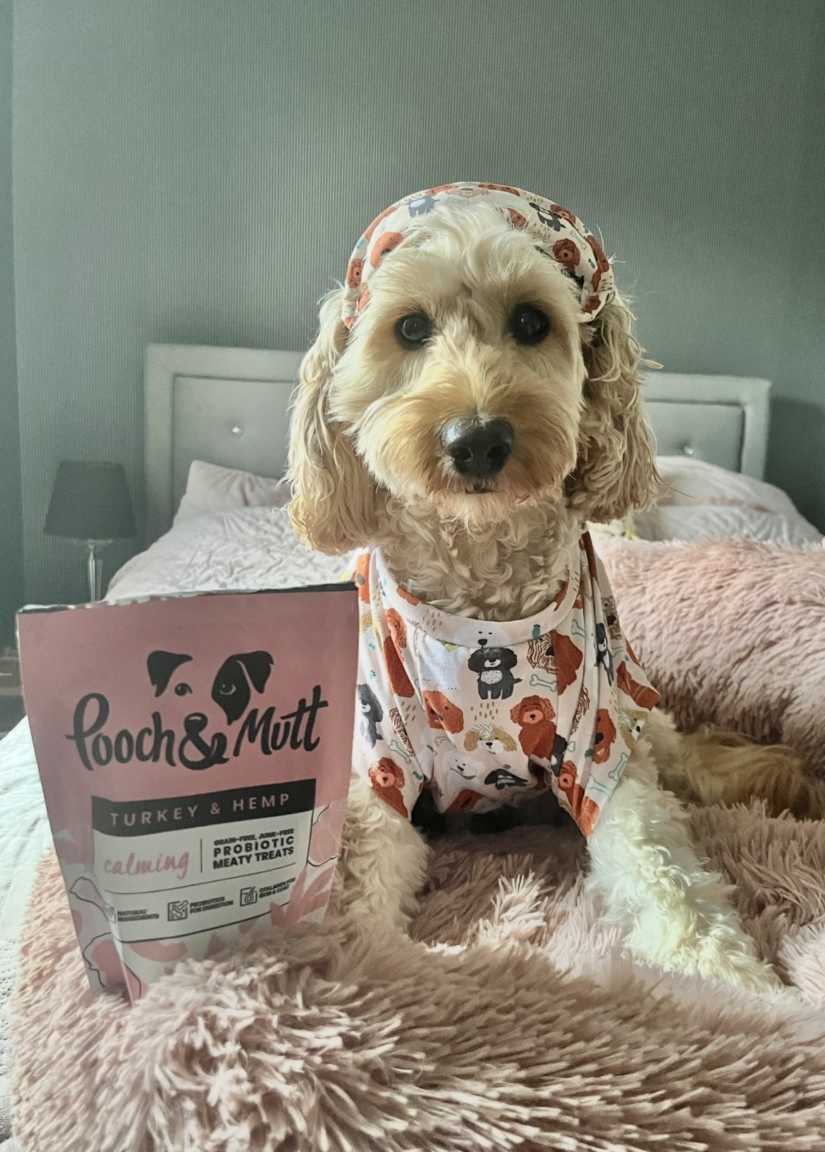 IMG 8743 - Louise Thistlethwaite