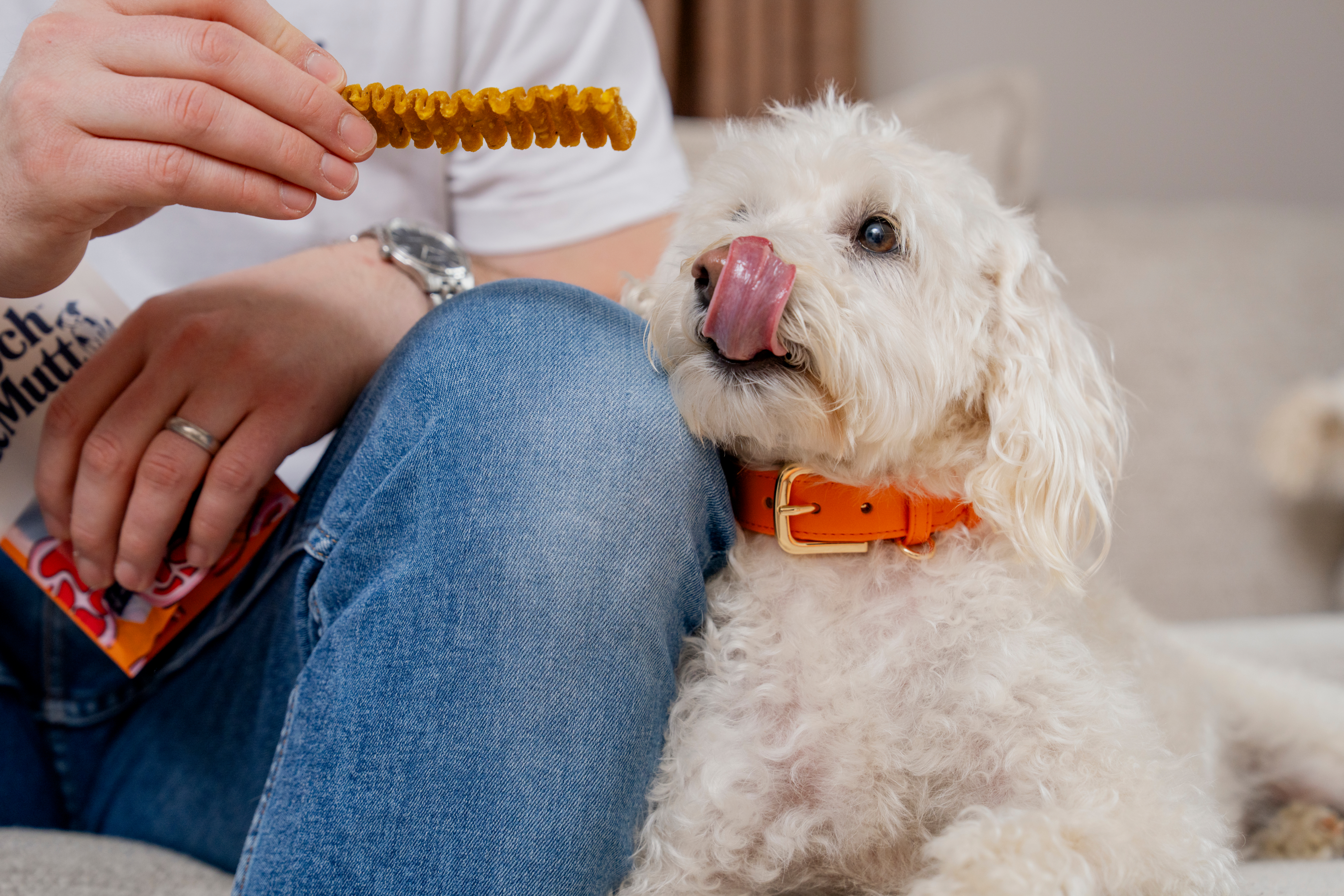 collagen chew hero bottom left hp