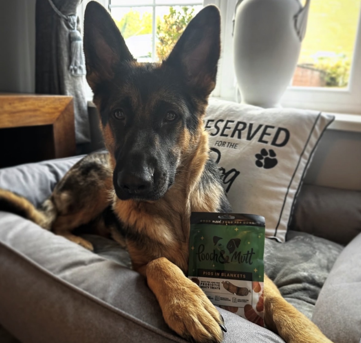 IMG 0886 - Charlotte Goodsell