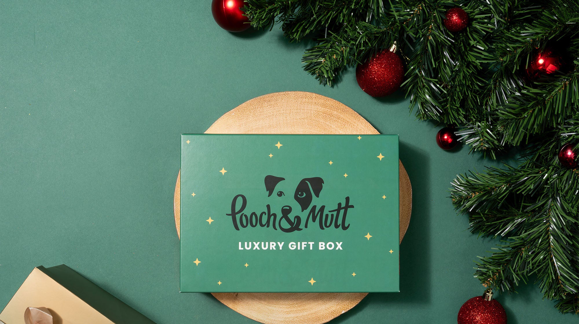 How to dog-proof your house this Christmas-Image 2