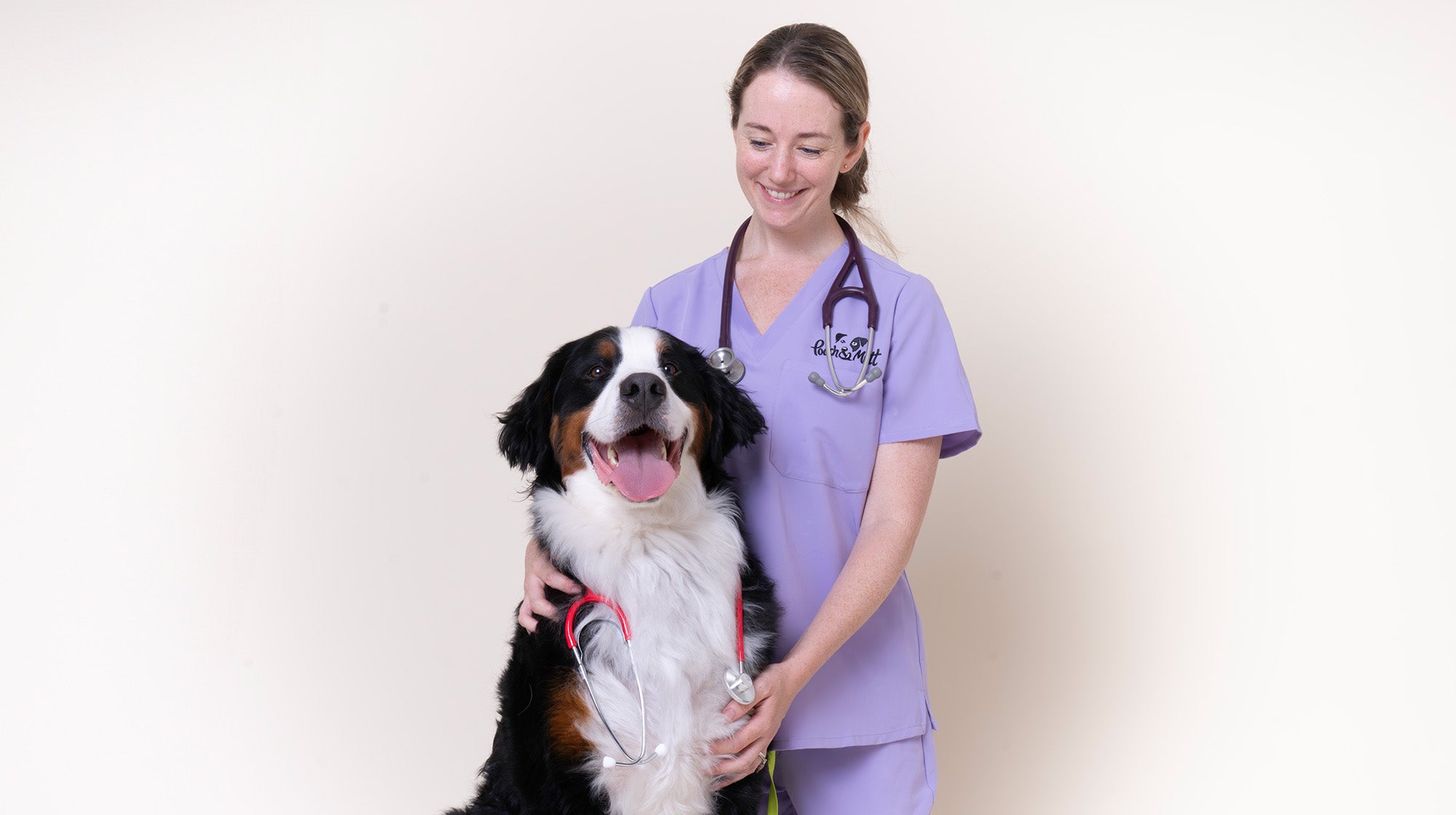 Why does my dog follow me everywhere?-Image 3