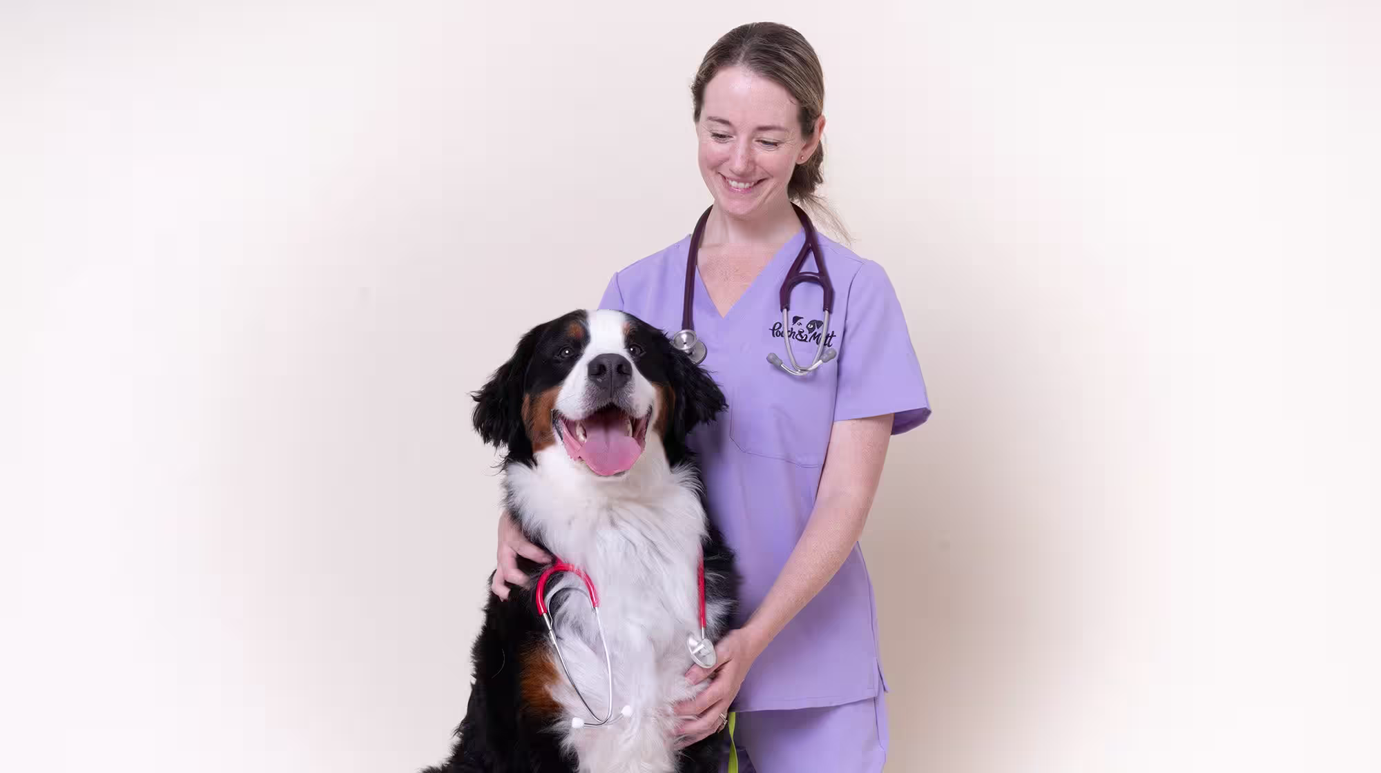 Why does my dog follow me everywhere?-Image 3