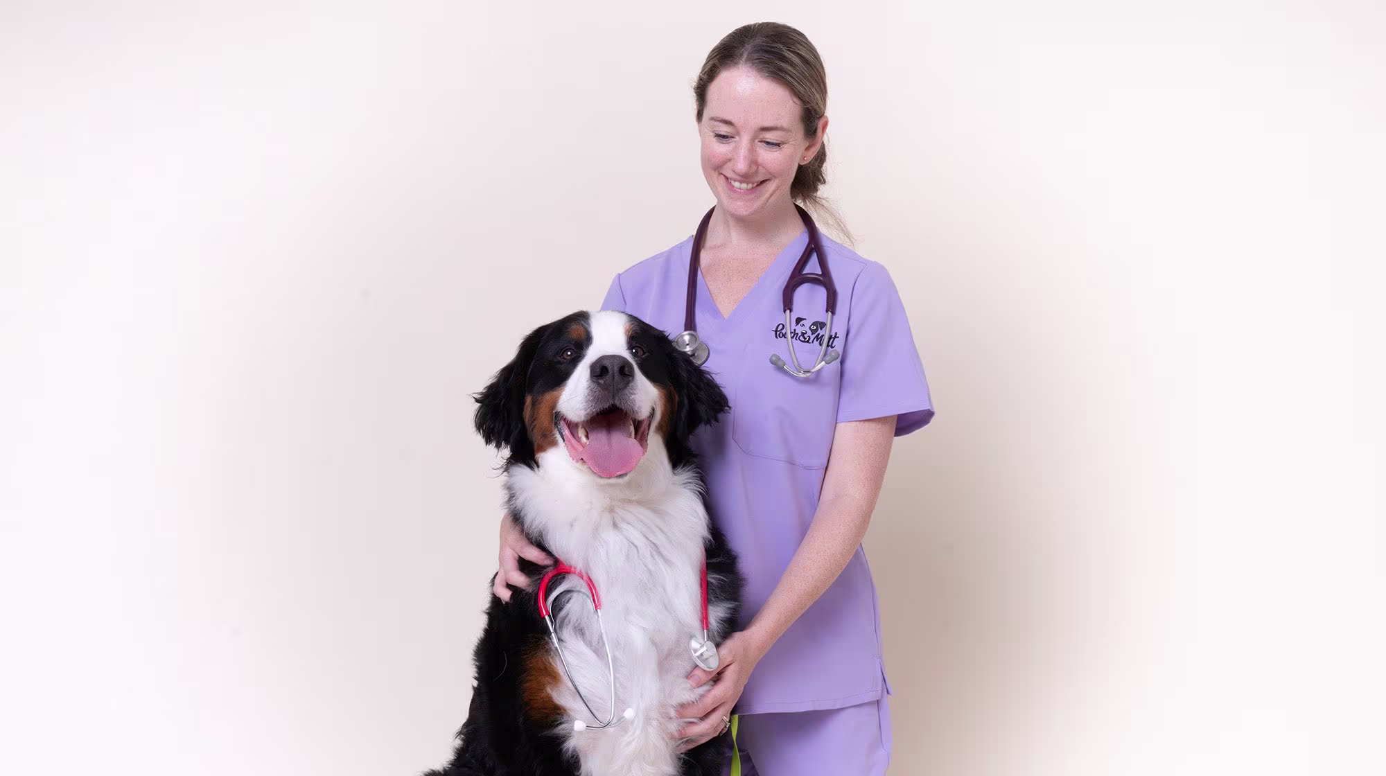Why does my dog follow me everywhere?-Image 3
