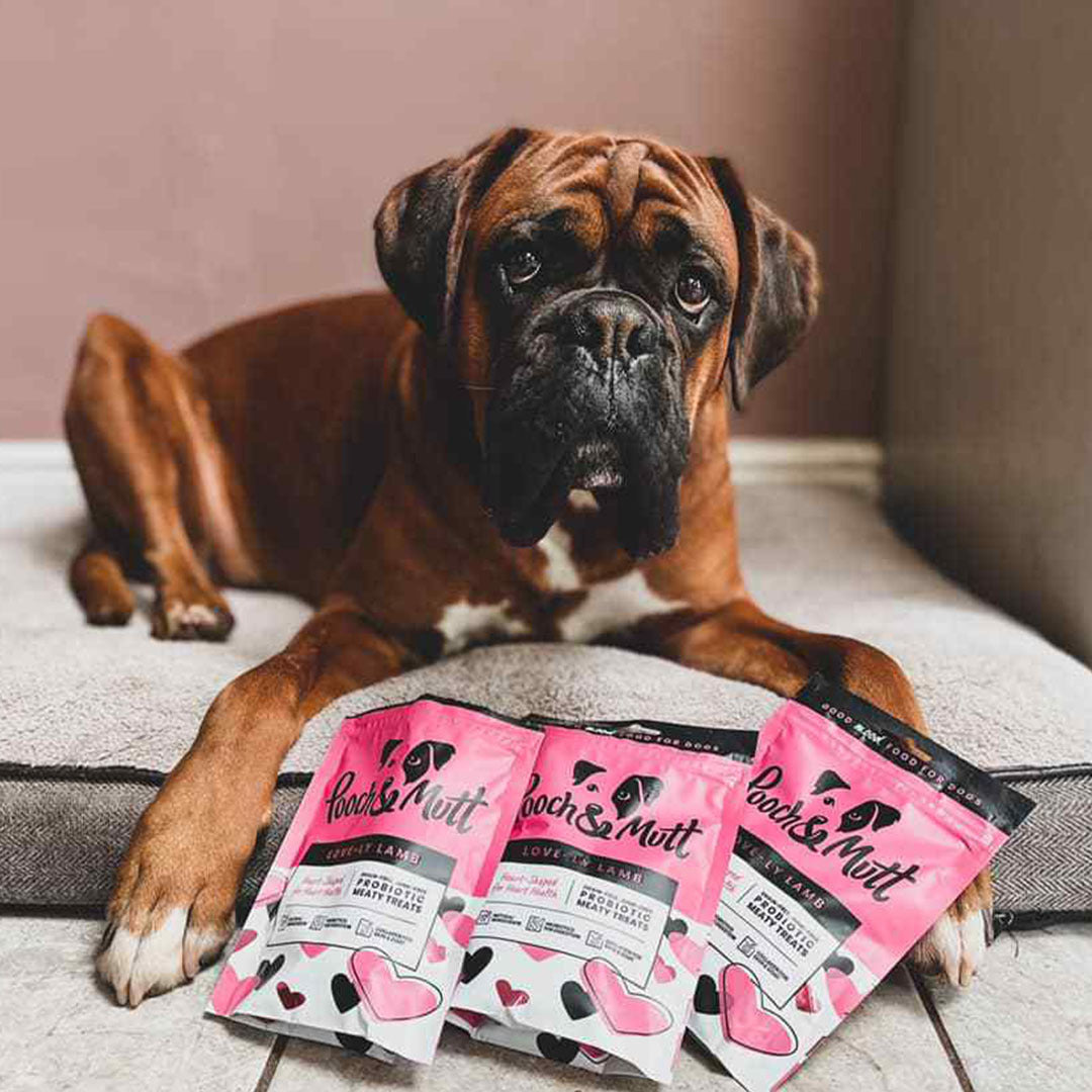 6 reasons to love our Love-ly Lamb Meaty Treats-Image 3