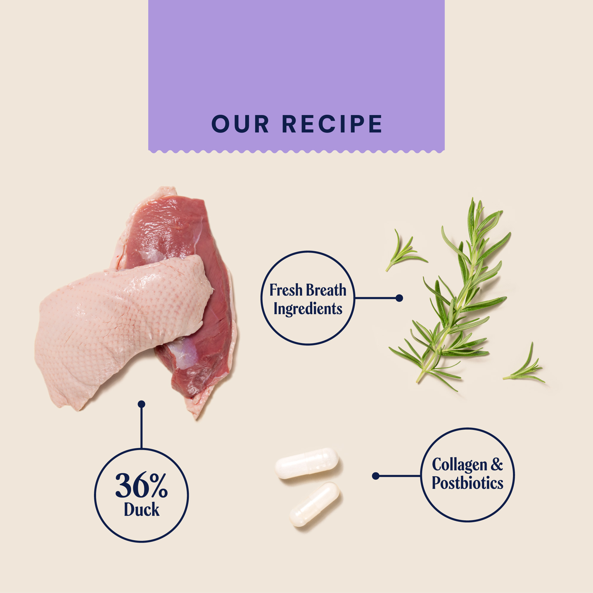 P&M INGREDIENT IMAGE WELLBEING TEETH & GUMS MEATY TREATS