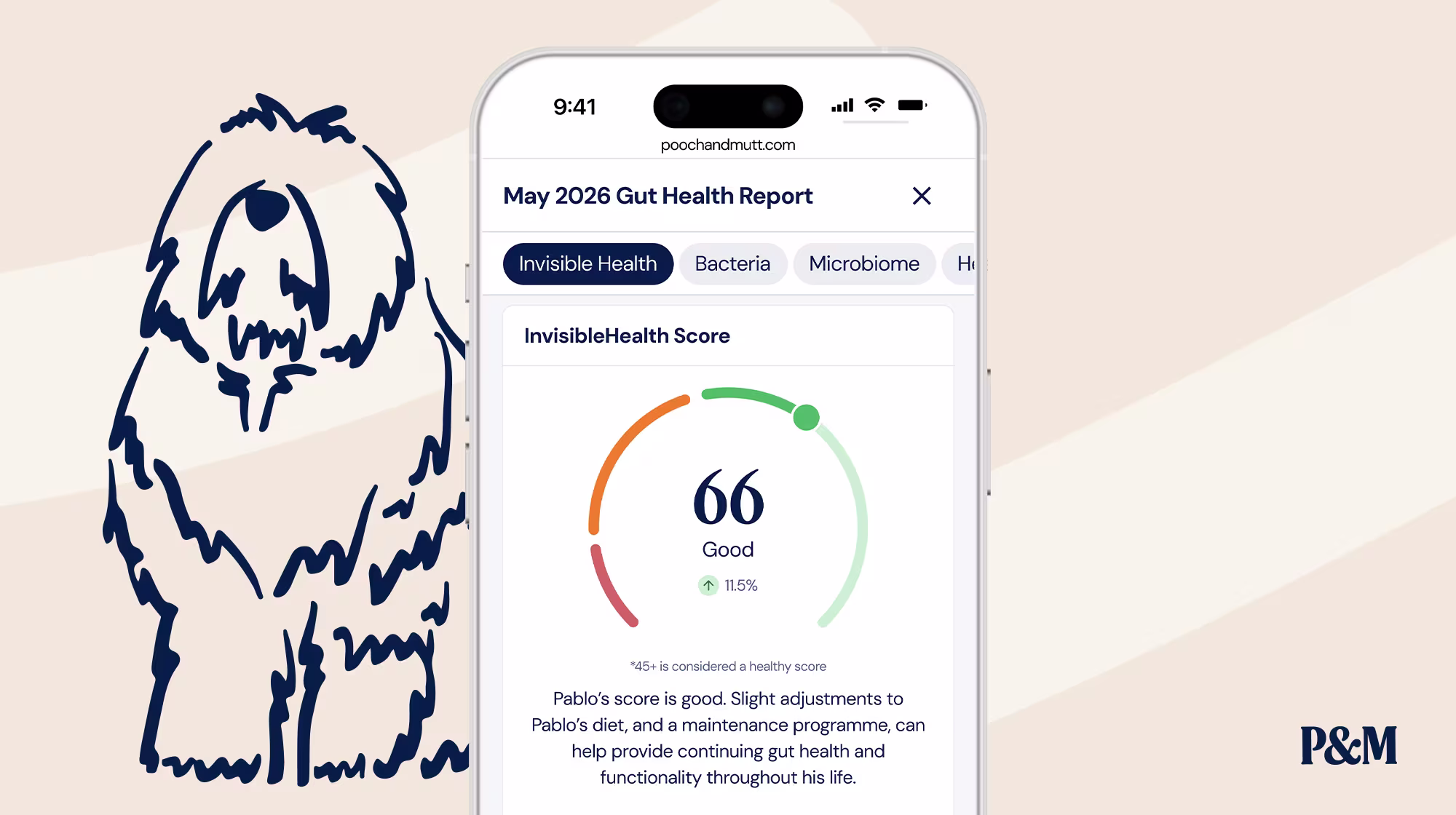 P&M BLOG INFOGRAPHIC GUT HEALTH TEST REPORT EXAMPLE 1