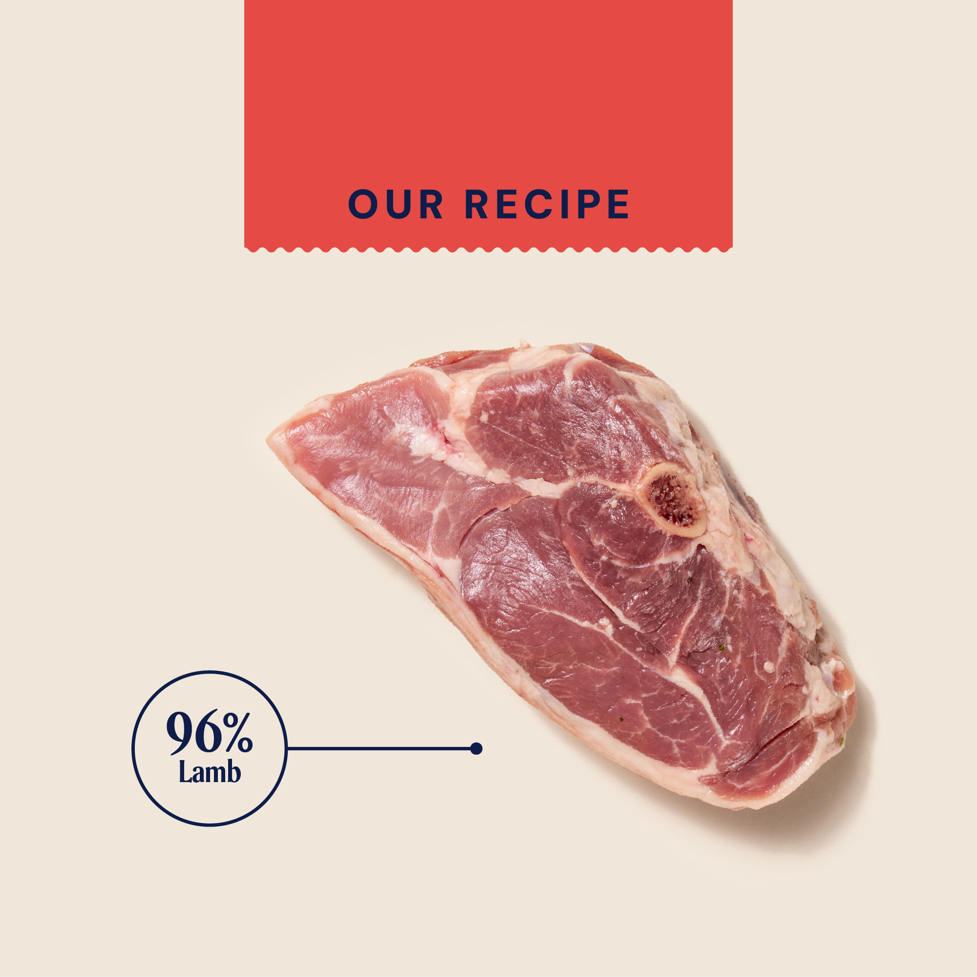 P&M INGREDIENT IMAGE RAW LAMB FREEZE DRIED TREATS