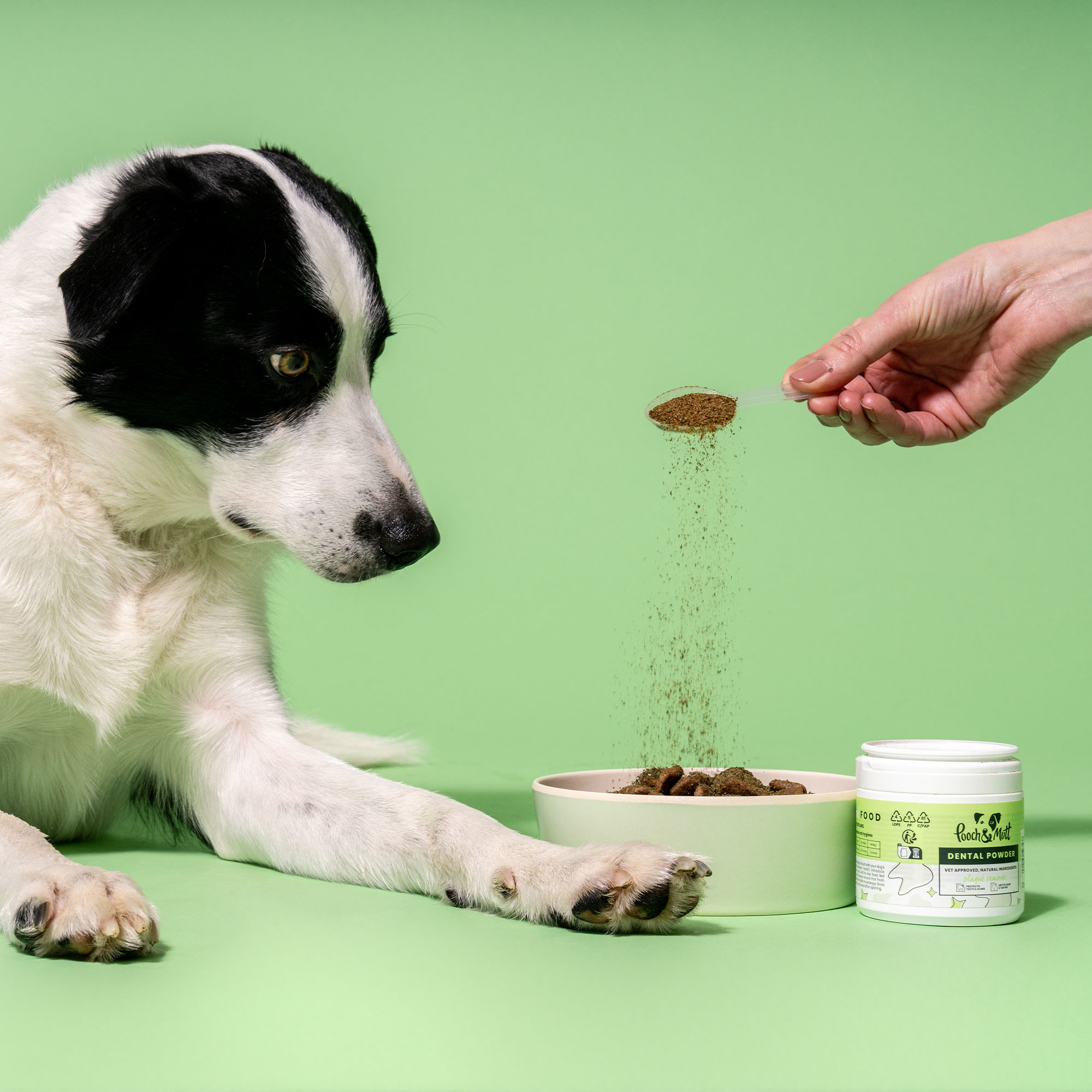 Dental Powder For Dogs Clearance