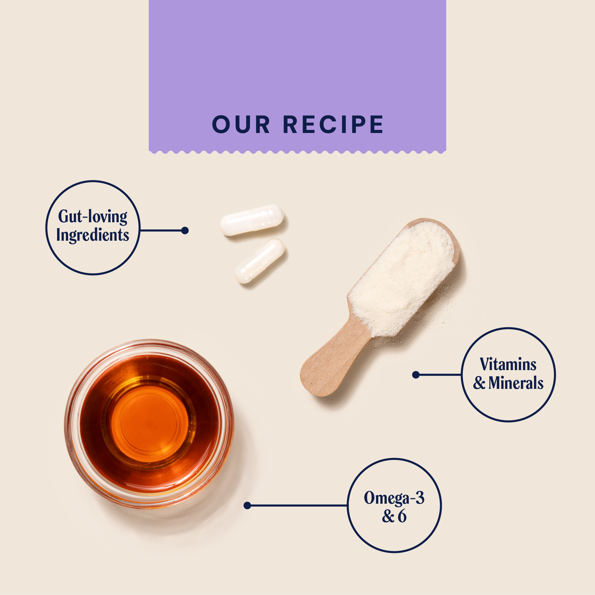 P&M INGREDIENT IMAGE SUPPLEMENTS WELLBEING HEALTH & DIGESTION BIONIC BIOTIC