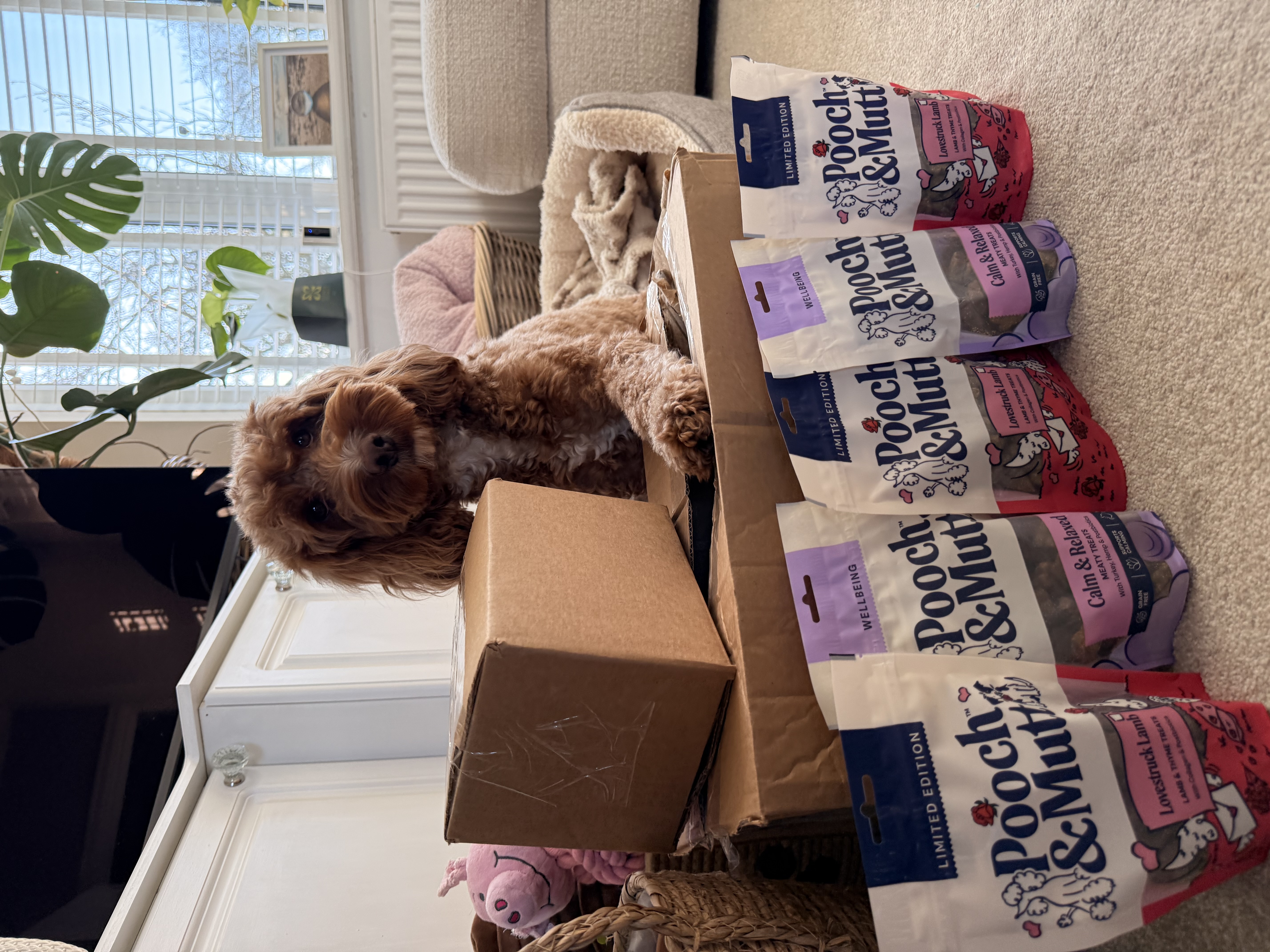 IMG 8223 - Jessica Gale