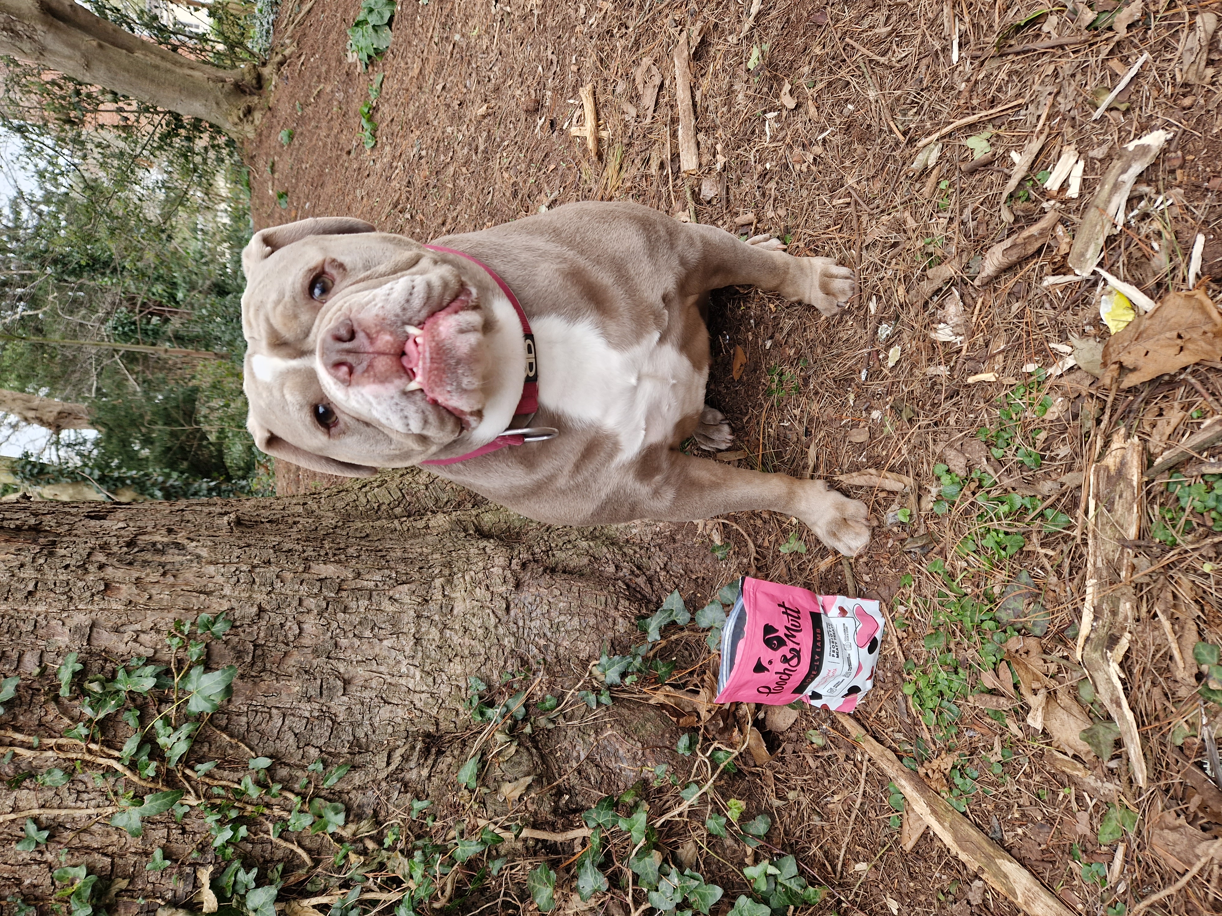 20230301 093441 - keeleywillicott@yahoo.co.uk