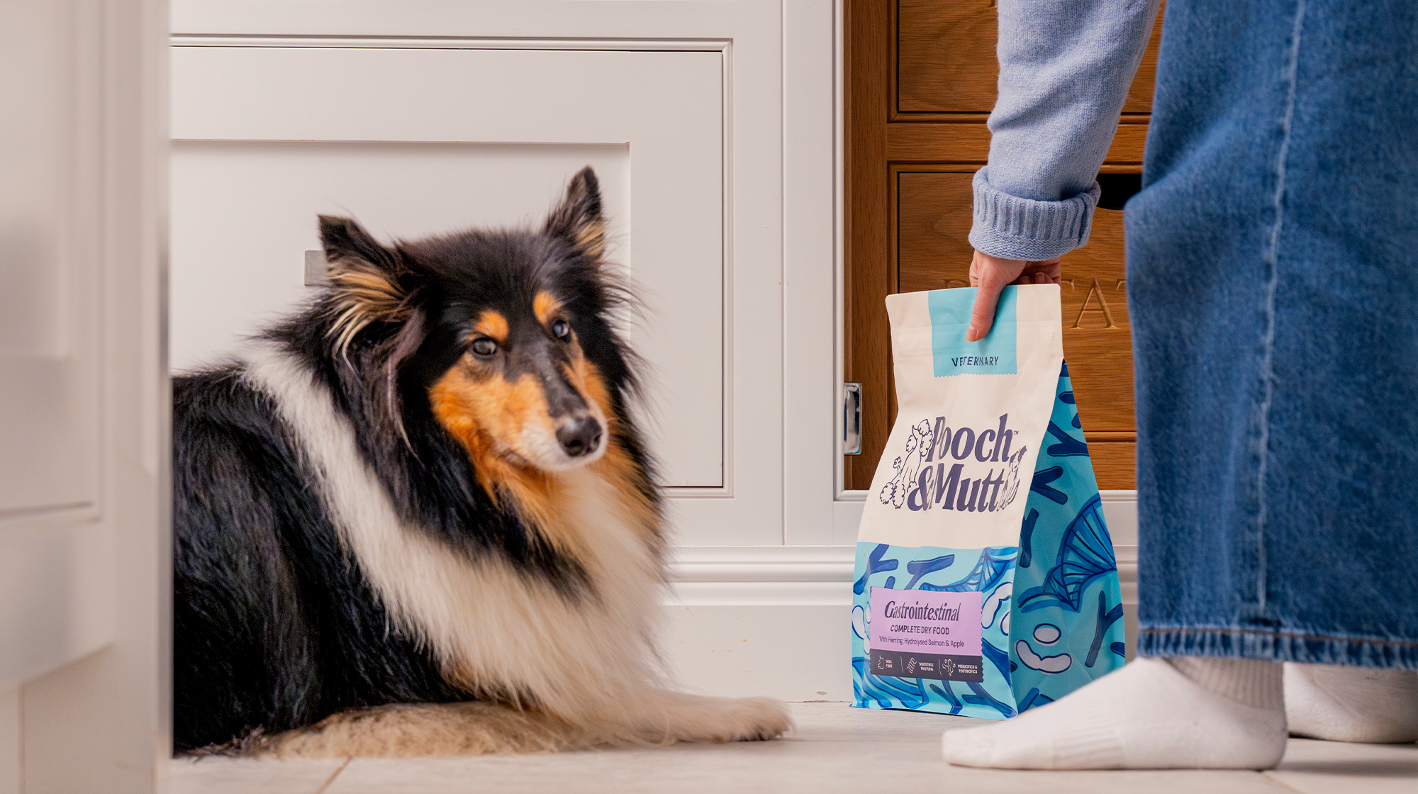 A fluffy dog lies on the floor as their own shows them a bag of Pooch & Mutt's Gastrointestinal Veterinary Dry Food.