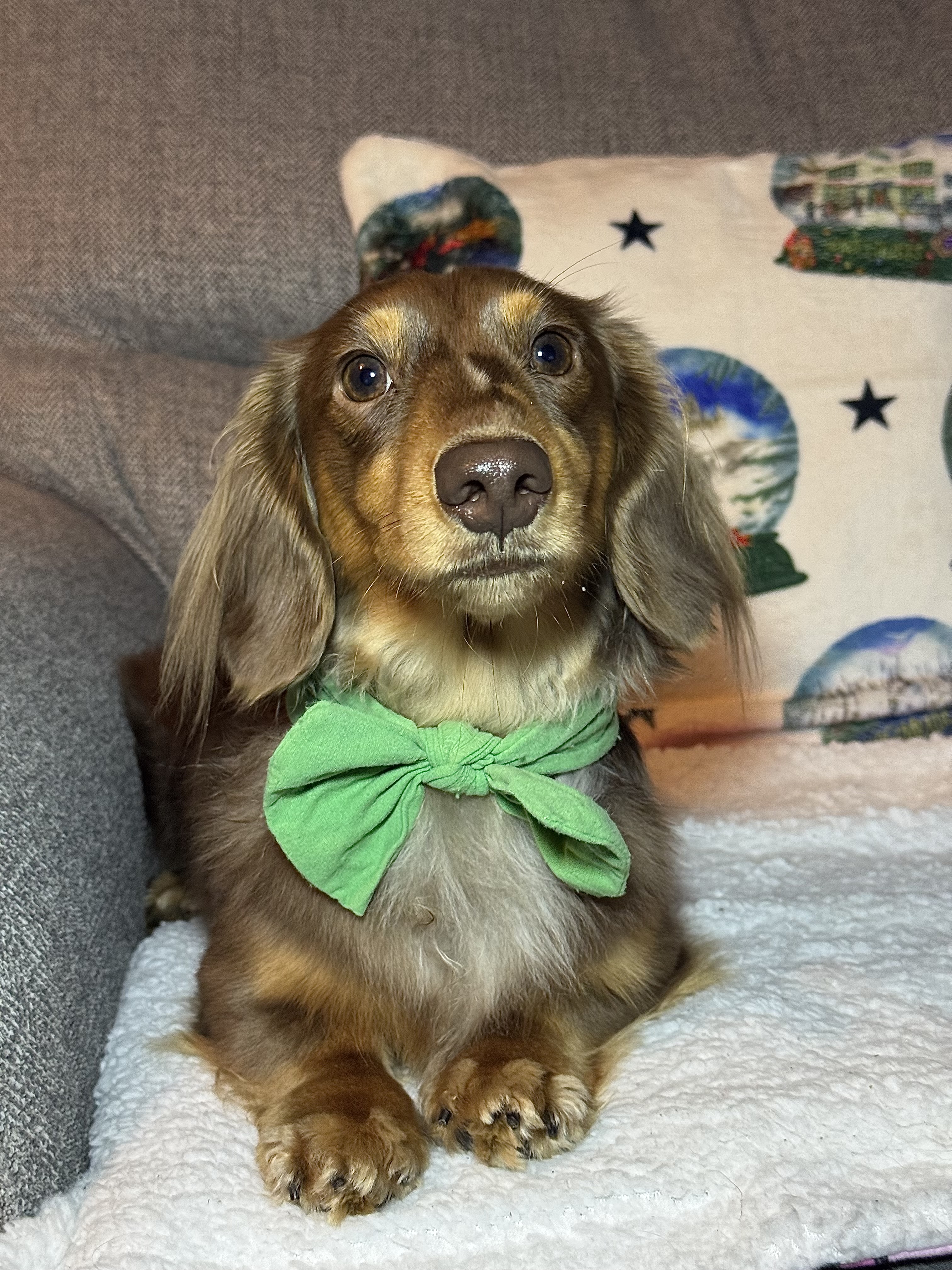 IMG 1181 - Sophie Holland