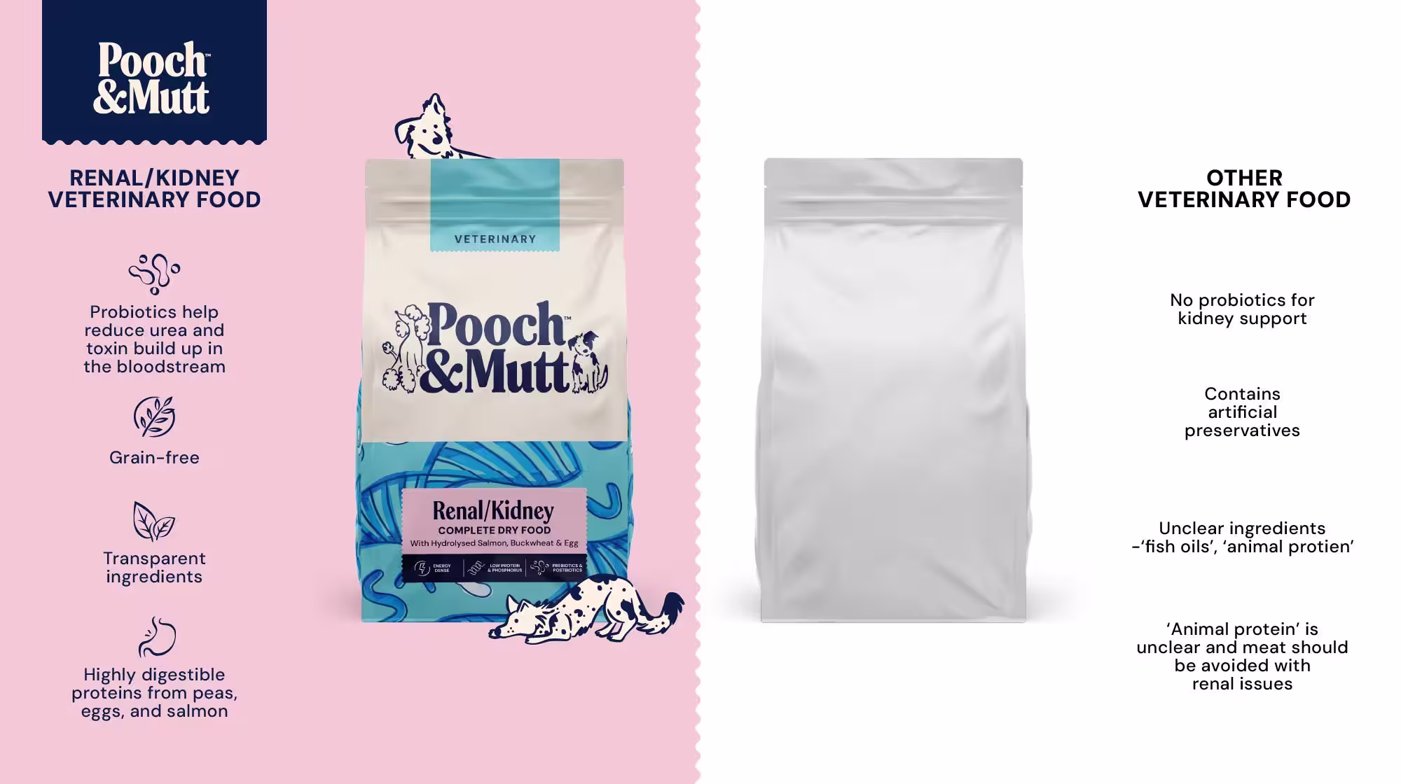 BLOG UPDATED INFOGRAPHICS BEST FOOD FOR KIDNEY DISEASE