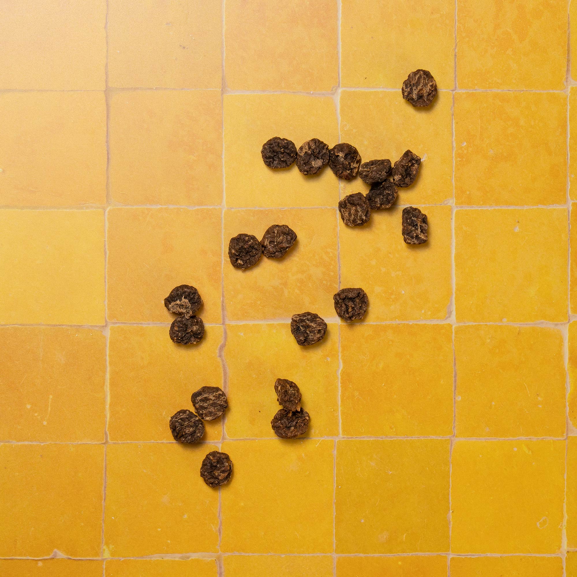 PUPPY JERKY SUPERFOODS P&M REBRAND