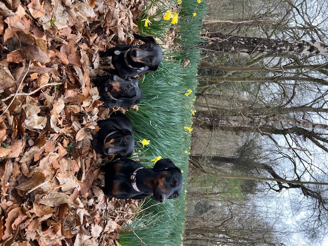 Landry dinky bella & bryan ugc