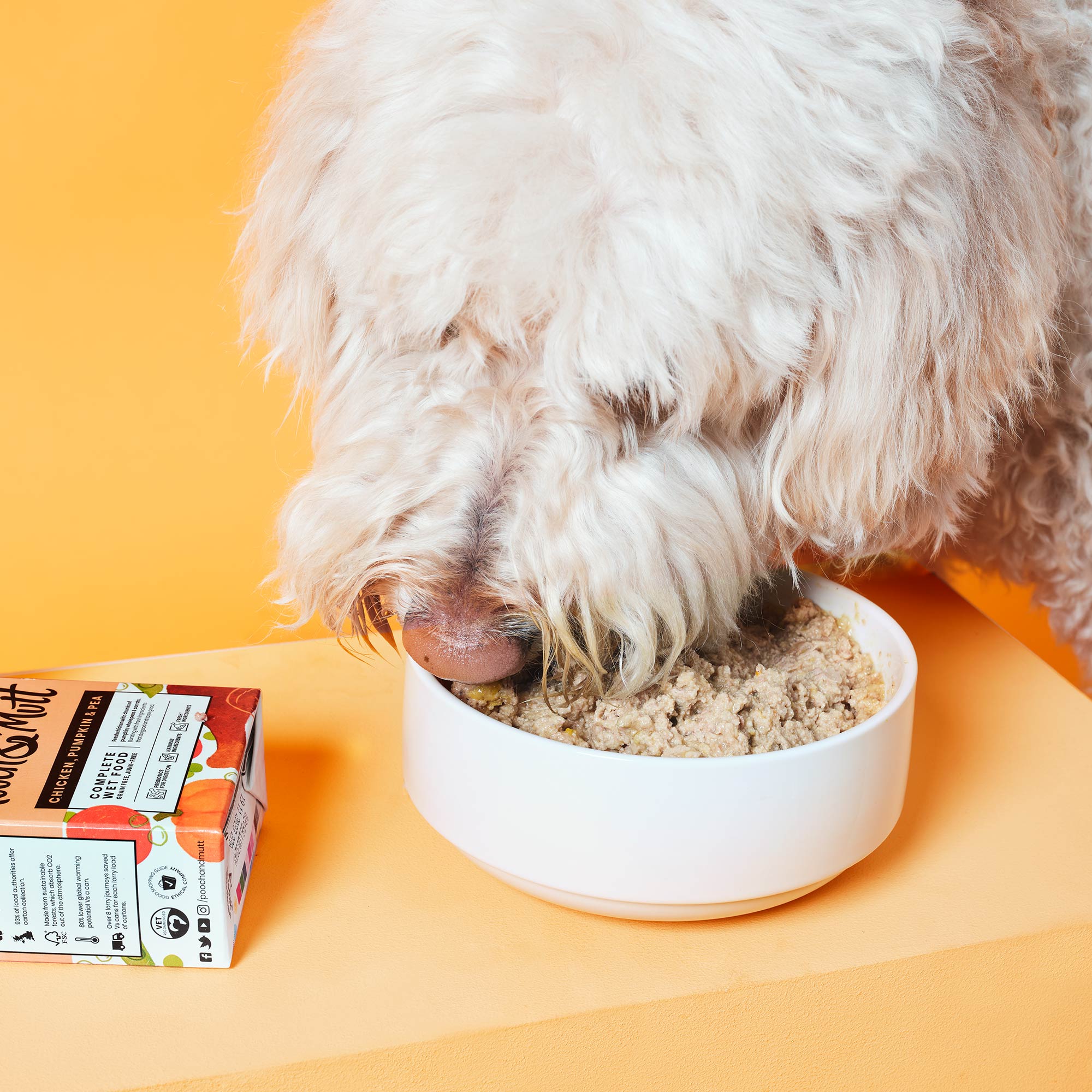 complete-wet-food-for-dogs-chicken-with-pumpkin-and-peas