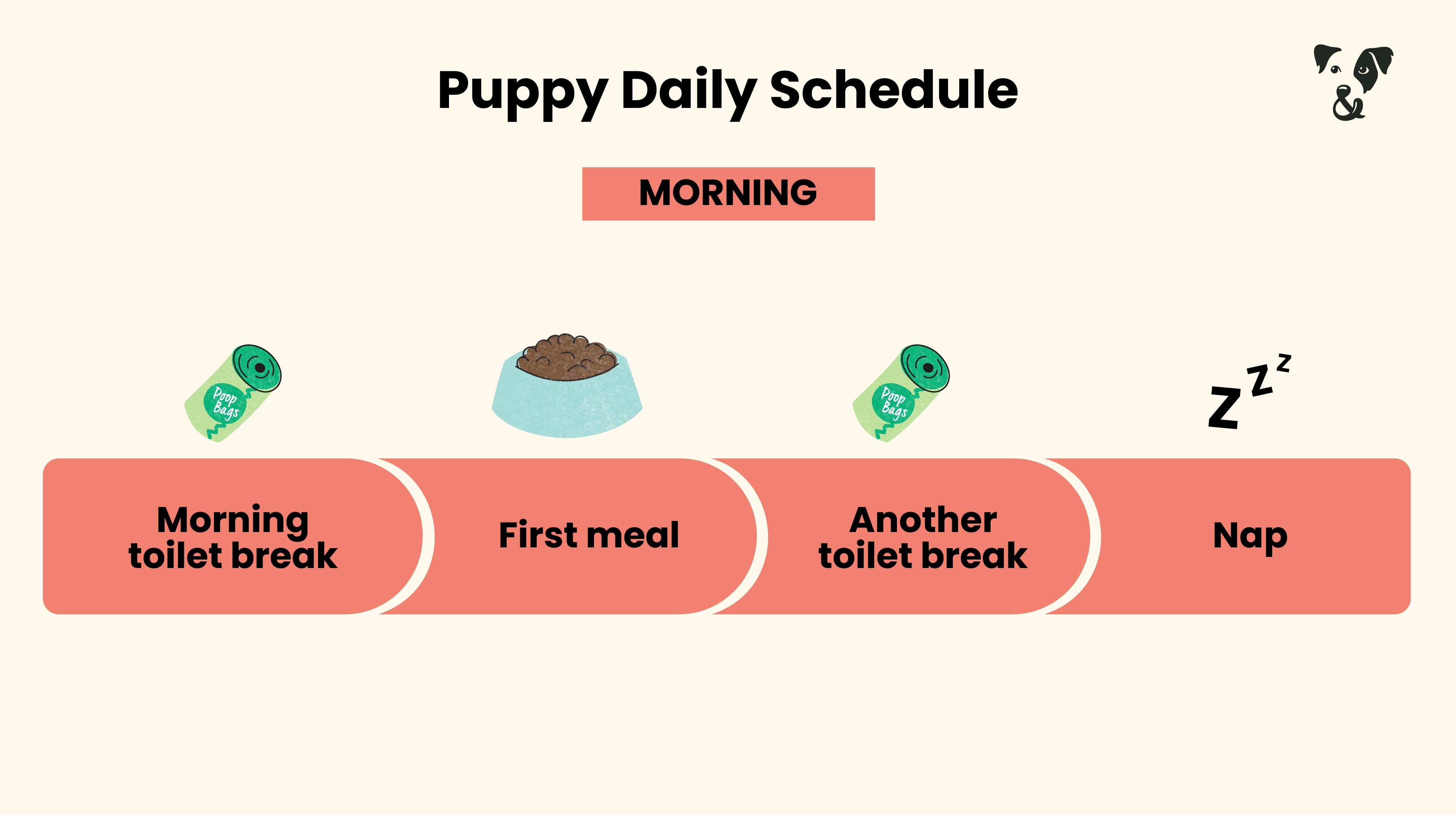 The Puppy Feeding Guide-Image 4