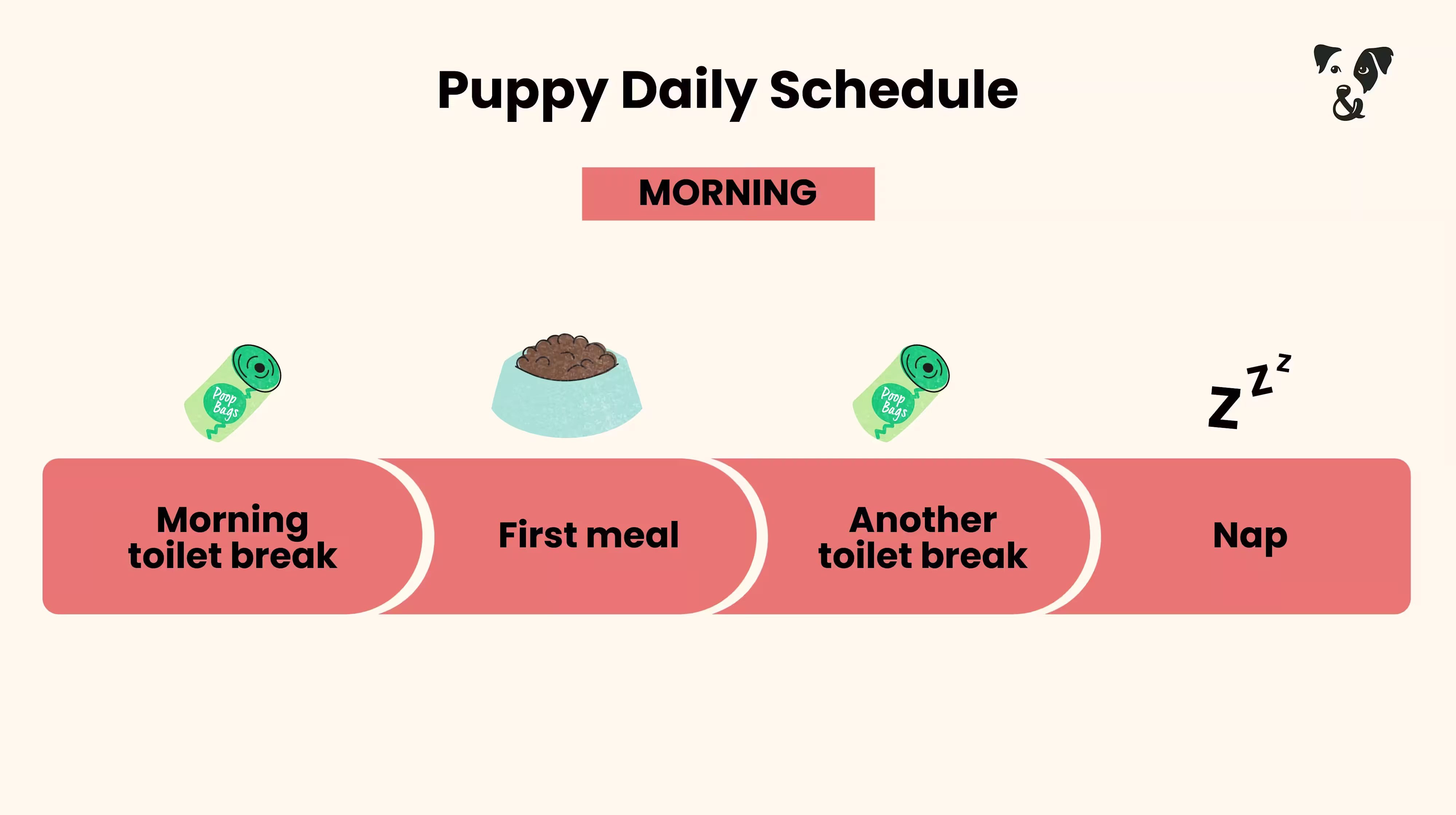 The Puppy Feeding Guide-Image 4
