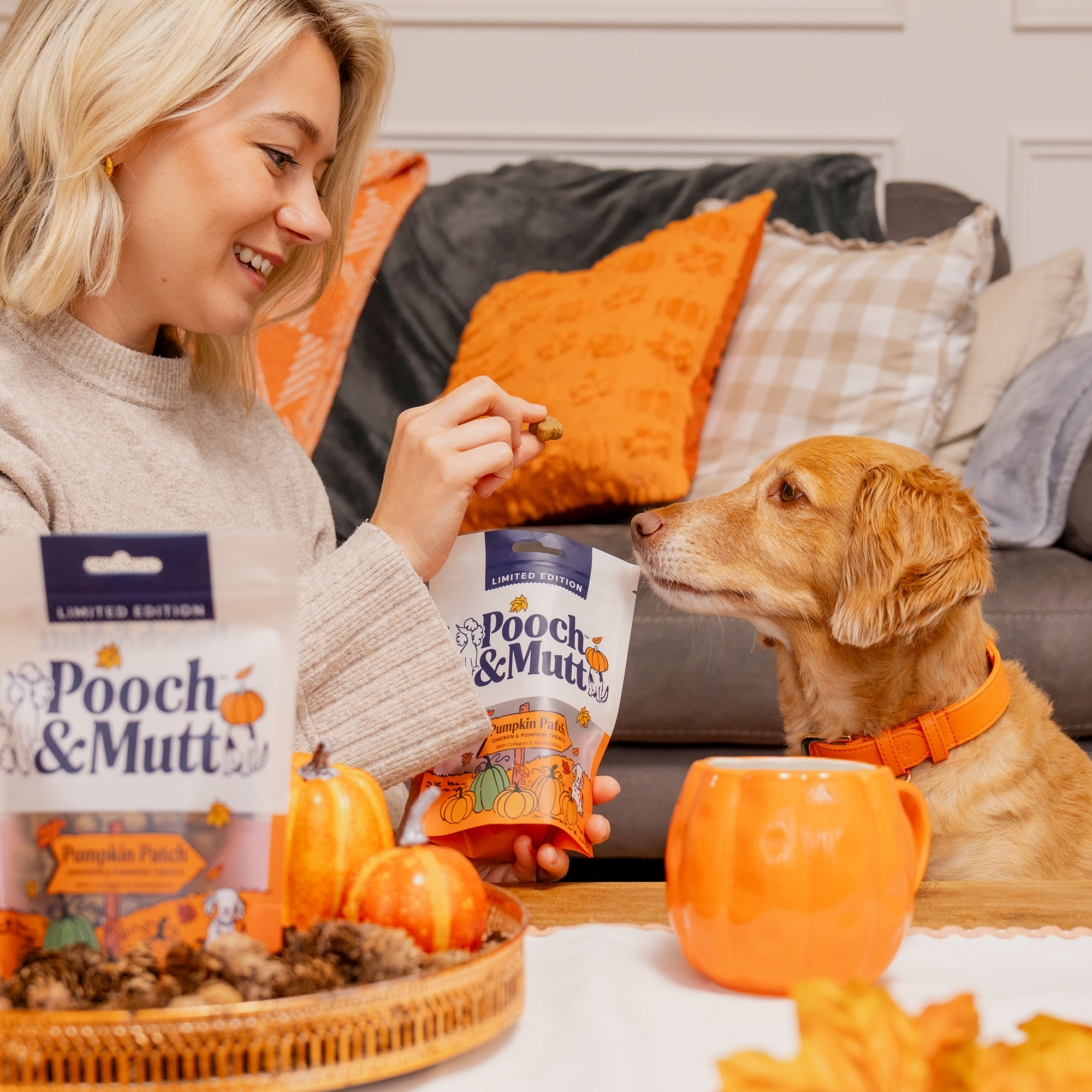pumpkin spice feeding dog treats lifestyle shot