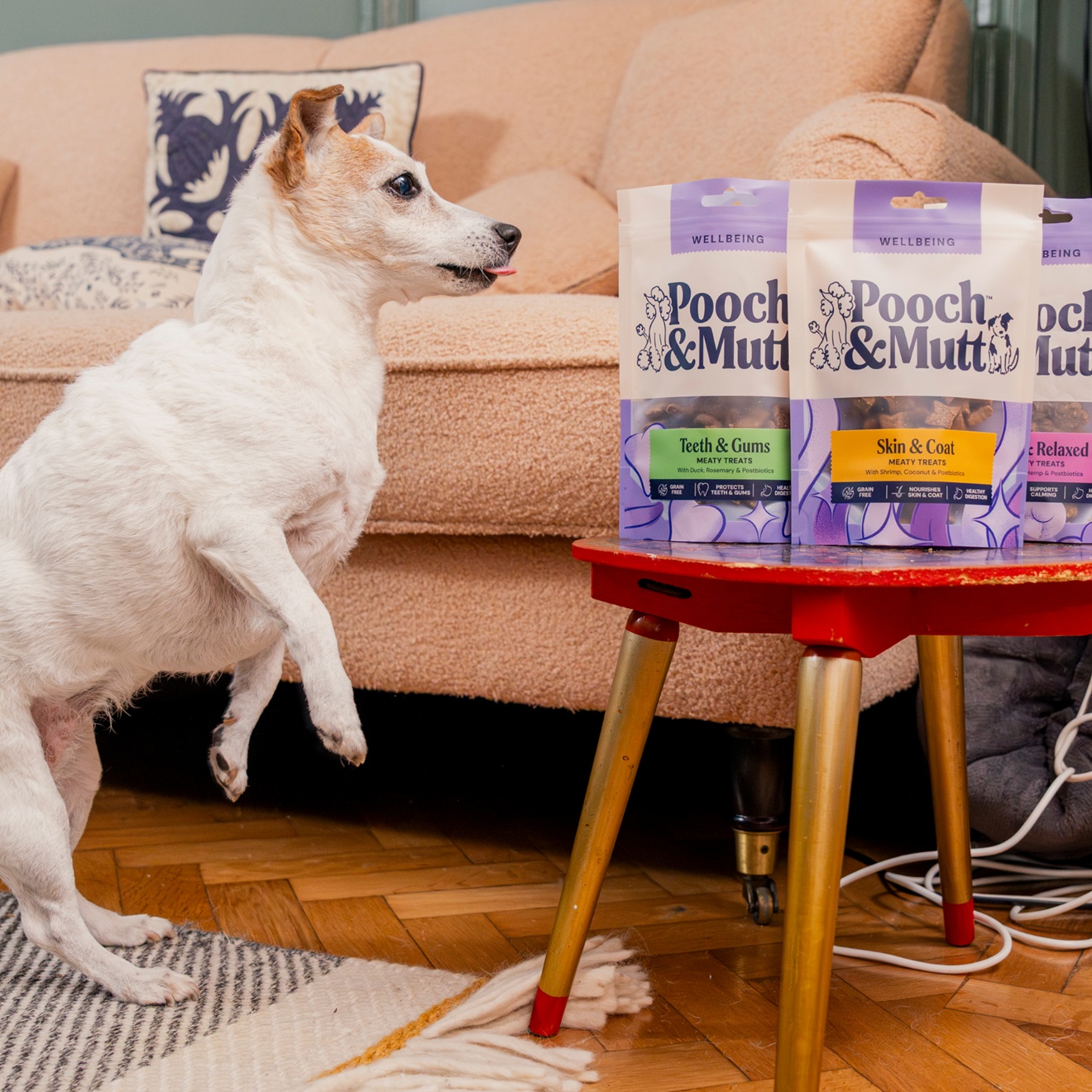 Pooch & Mutt For All Breeds & Needs