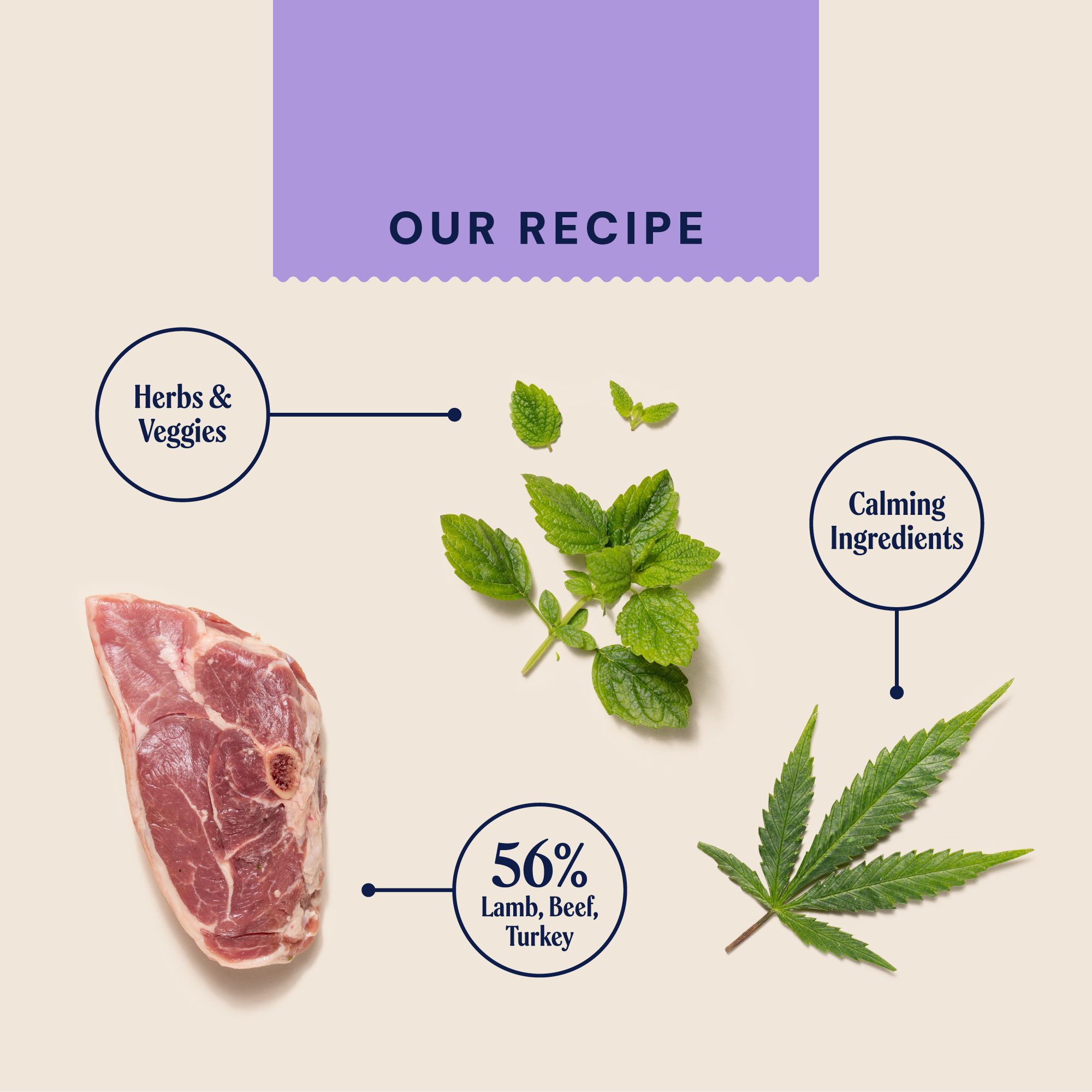 P&M INGREDIENT IMAGE WELLBEING CALM & RELAXED WET FOOD