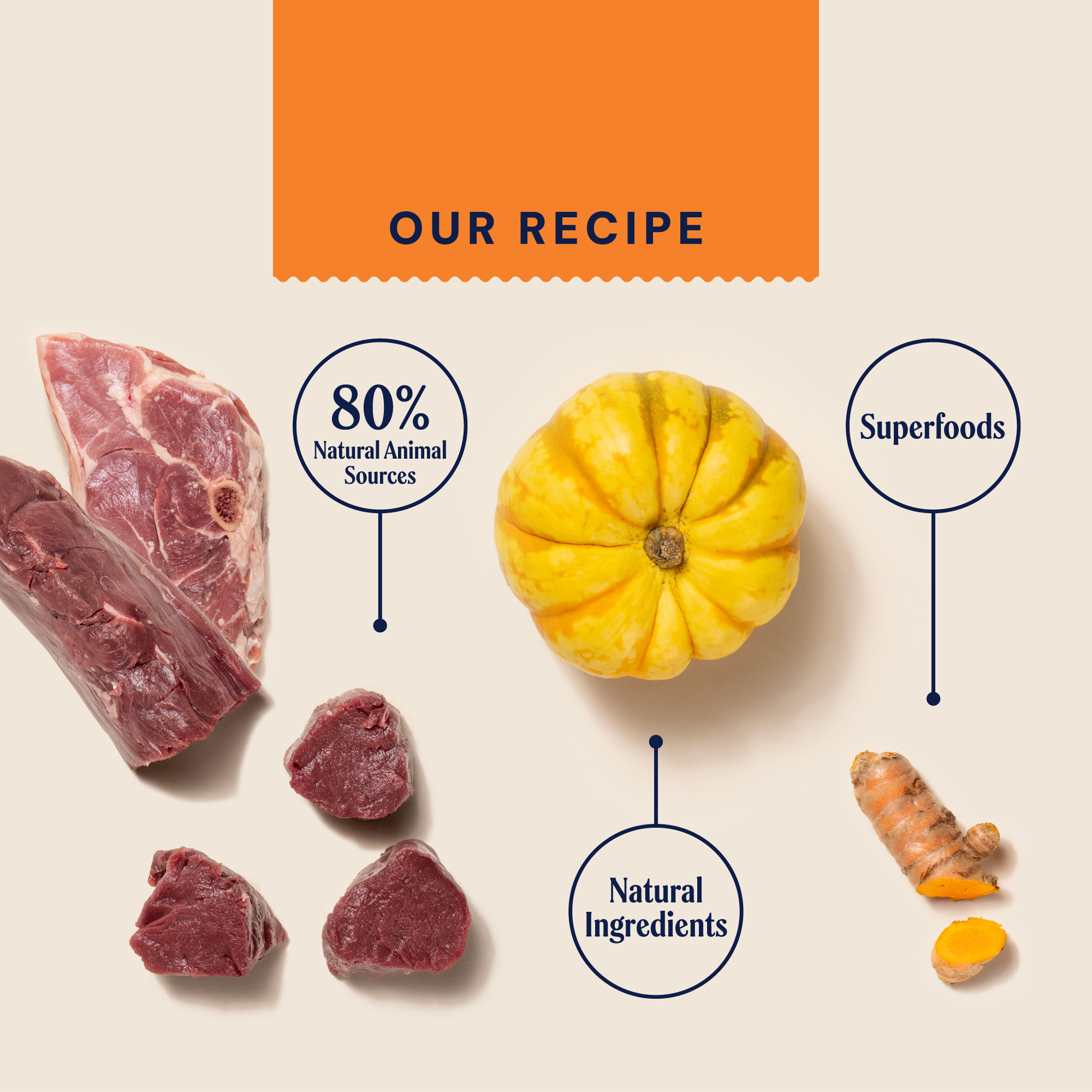 P&M INGREDIENT IMAGE PRIMAL VENISON