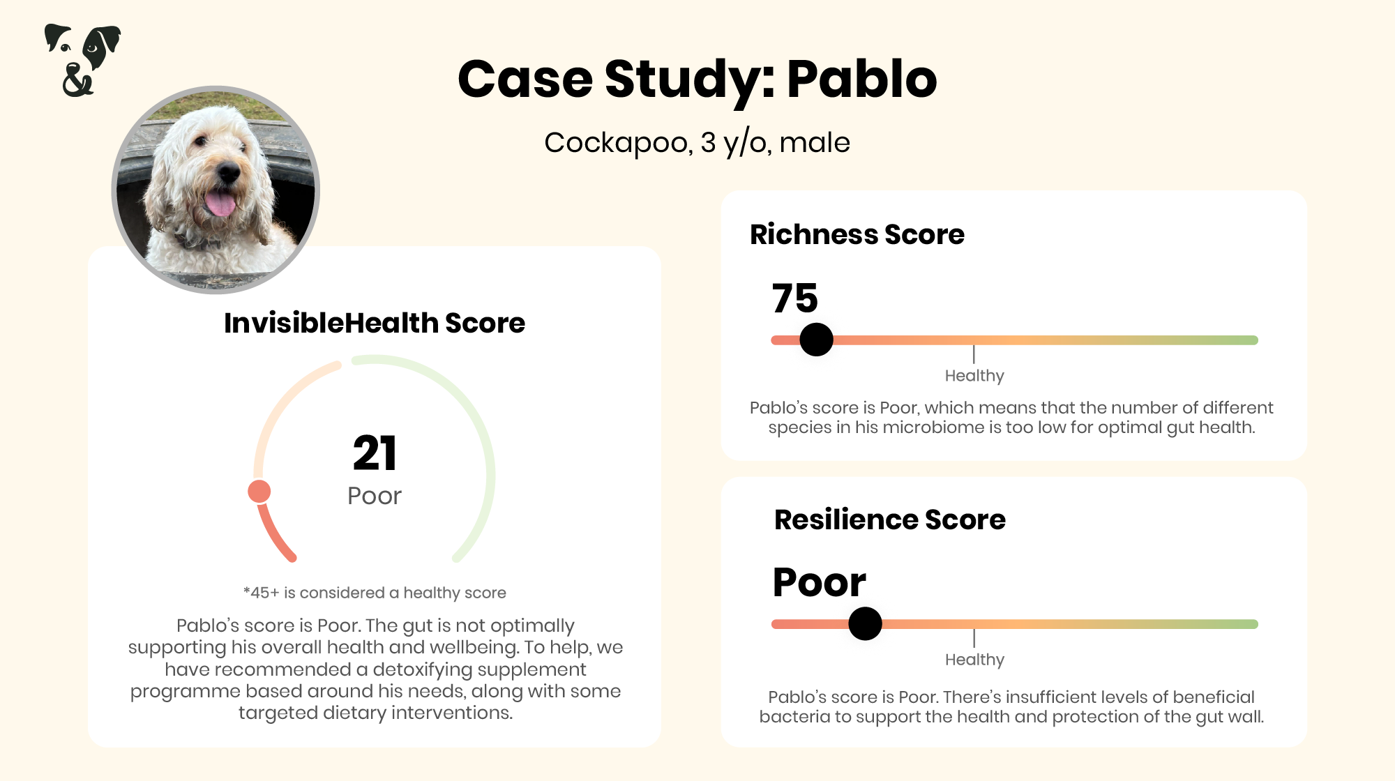 How do you know your dog has an unbalanced microbiome?-Image 3