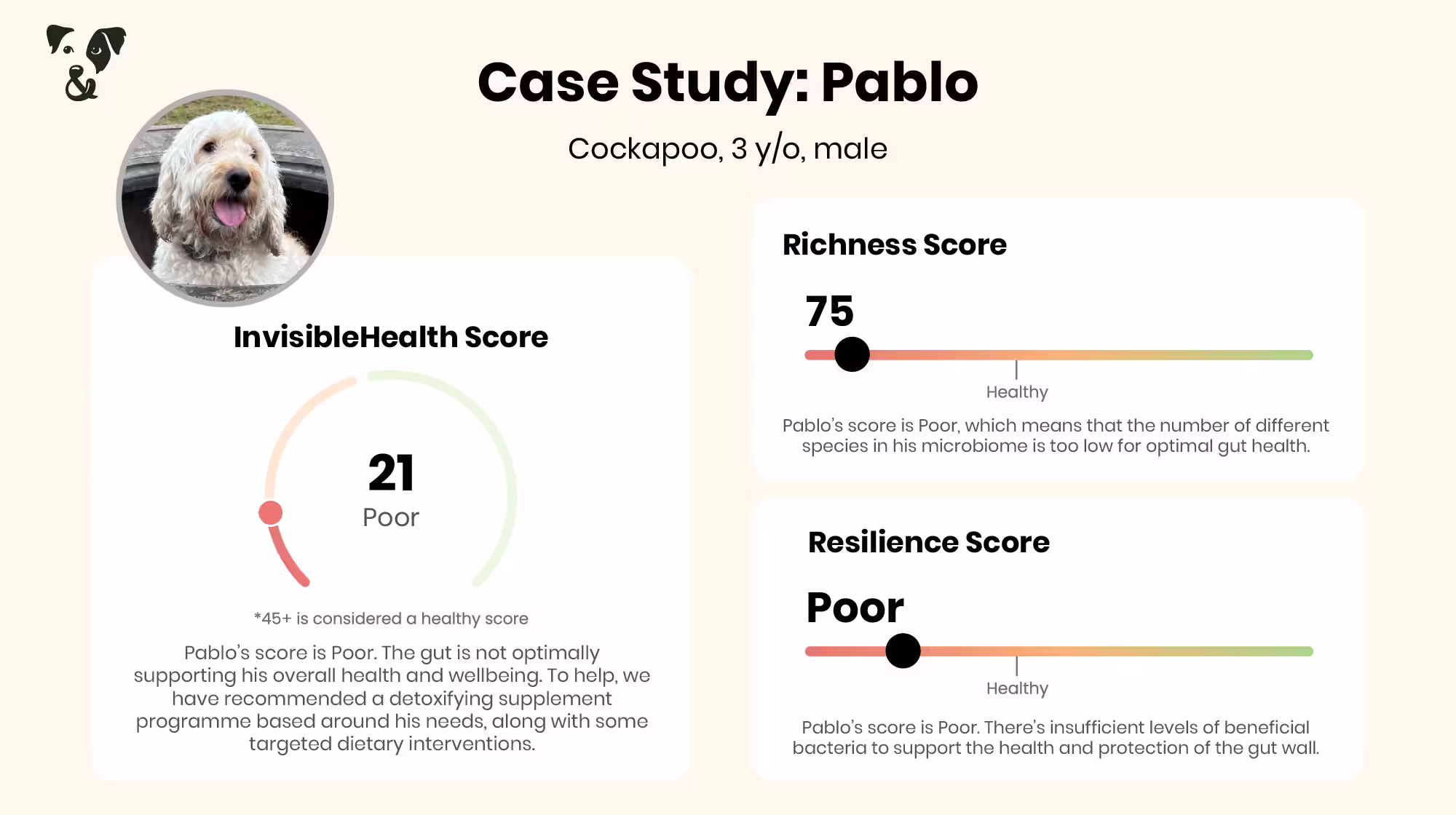 How do you know your dog has an unbalanced microbiome?-Image 3